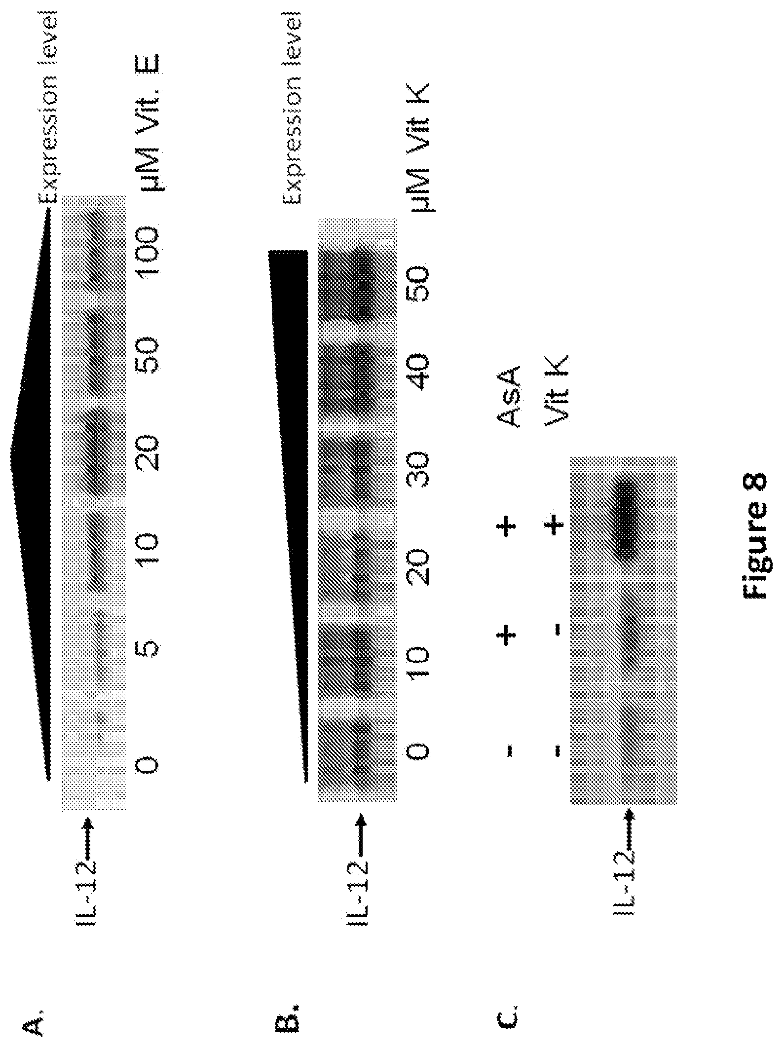 Patent US11773399 Figure 8 – Methods and compositions for enhancing polypeptide production