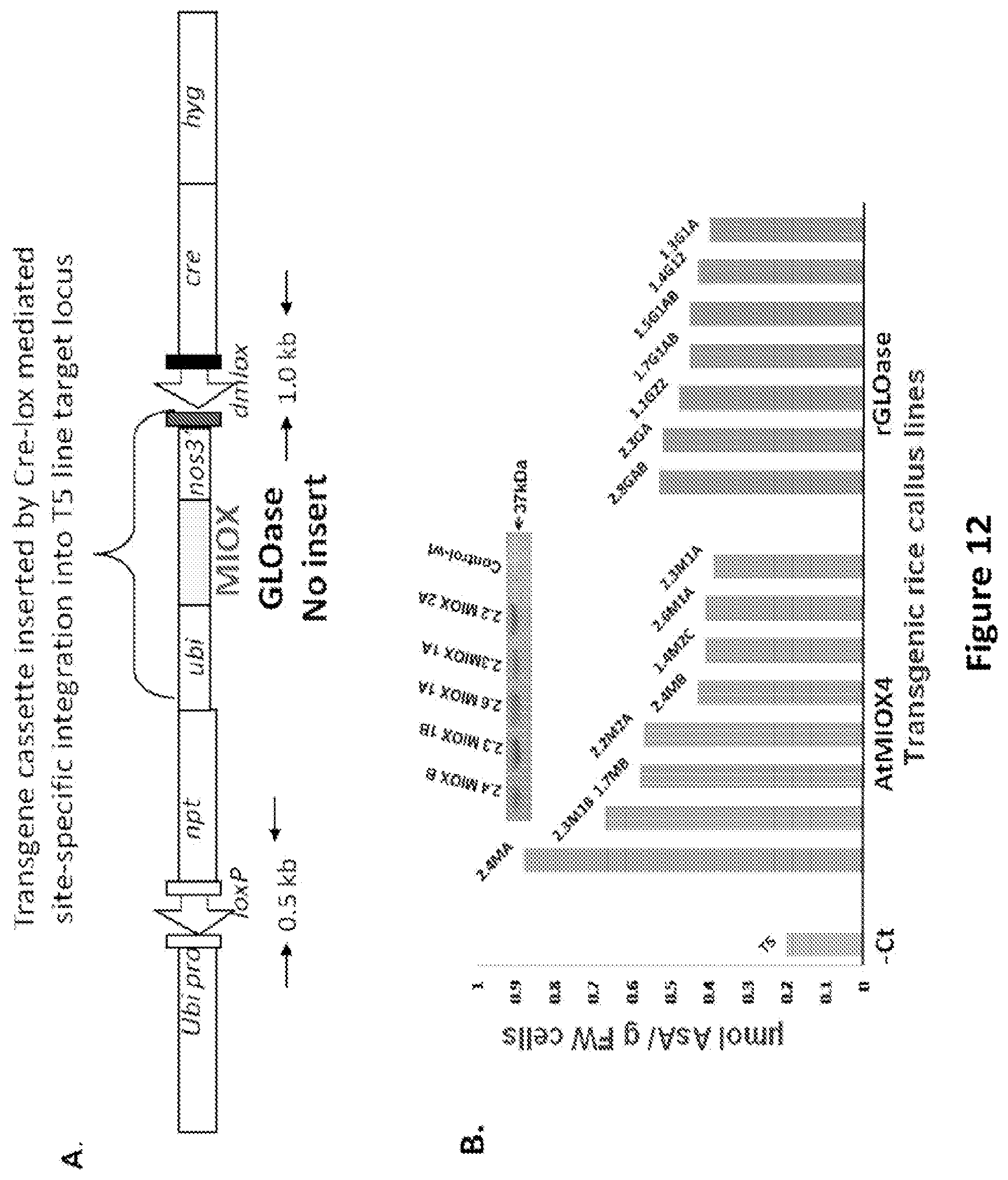 Patent US11773399 Figure 12 – Methods and compositions for enhancing polypeptide production