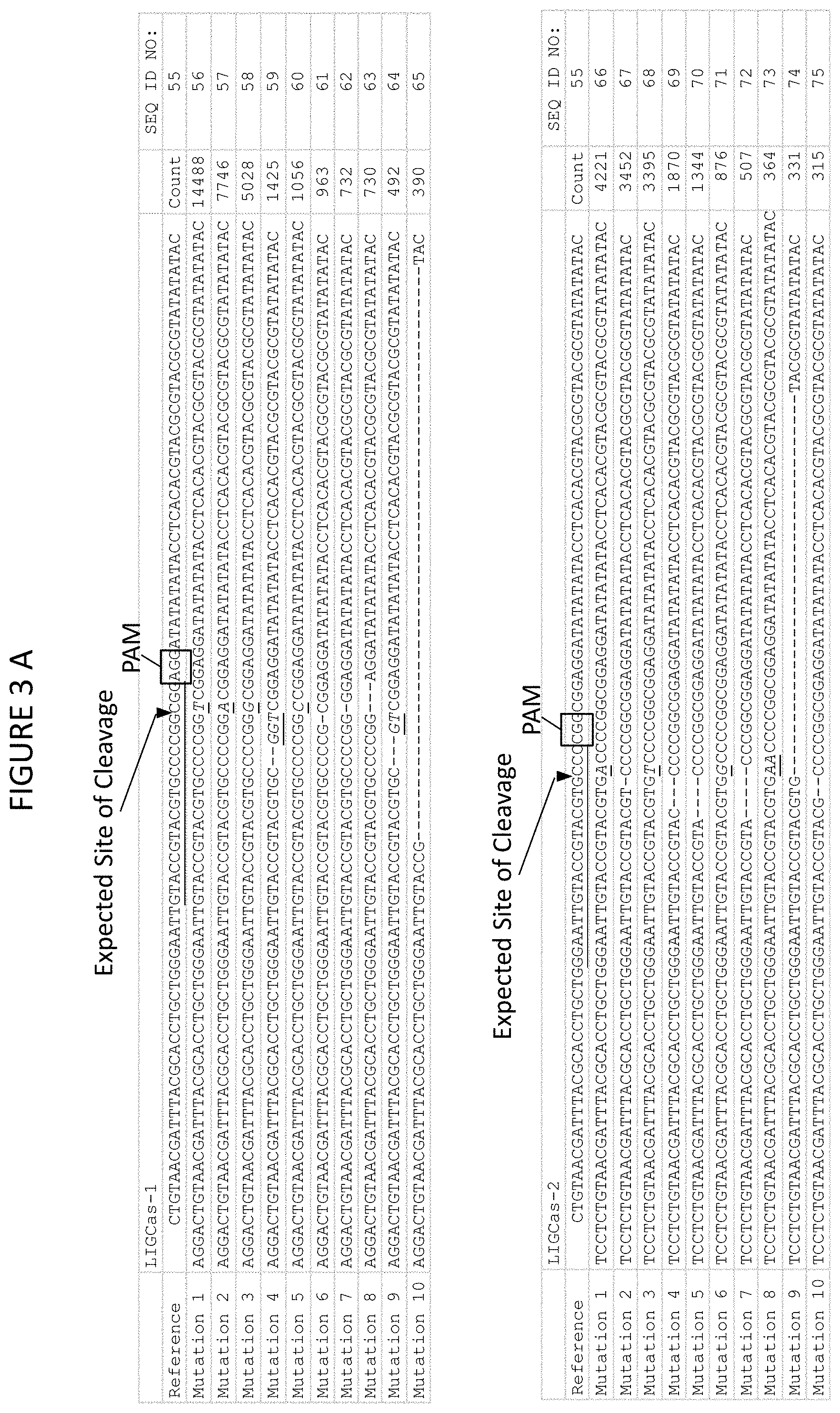 Patent US11773400 Figure 4 – Methods for producing genetic modifications in a plant genome without incorporating a selectable transgene marker, and compositions thereof