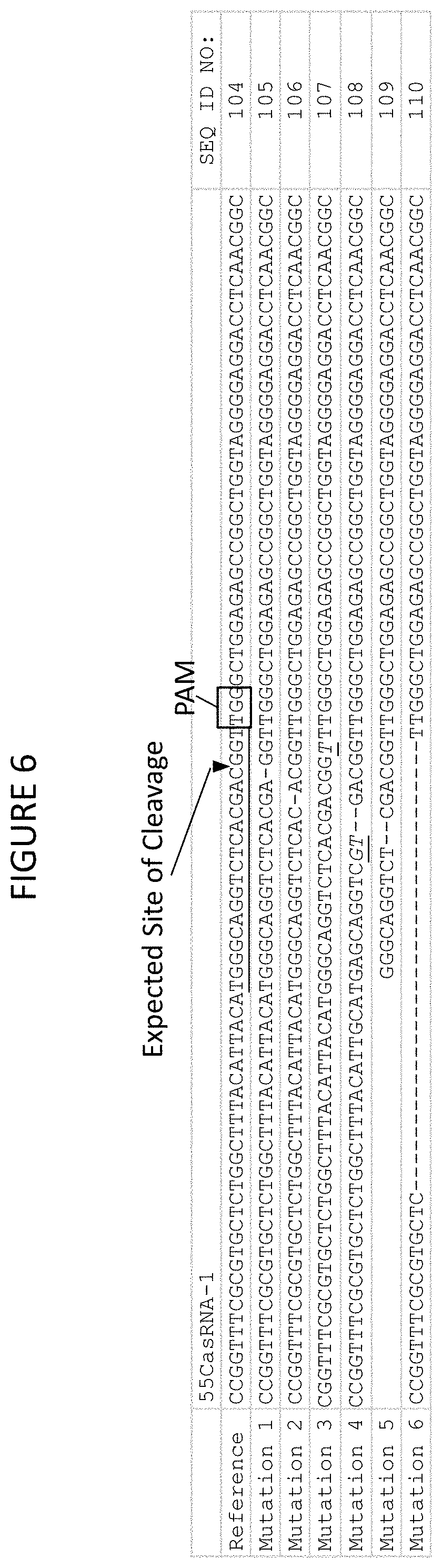Patent US11773400 Figure 8 – Methods for producing genetic modifications in a plant genome without incorporating a selectable transgene marker, and compositions thereof