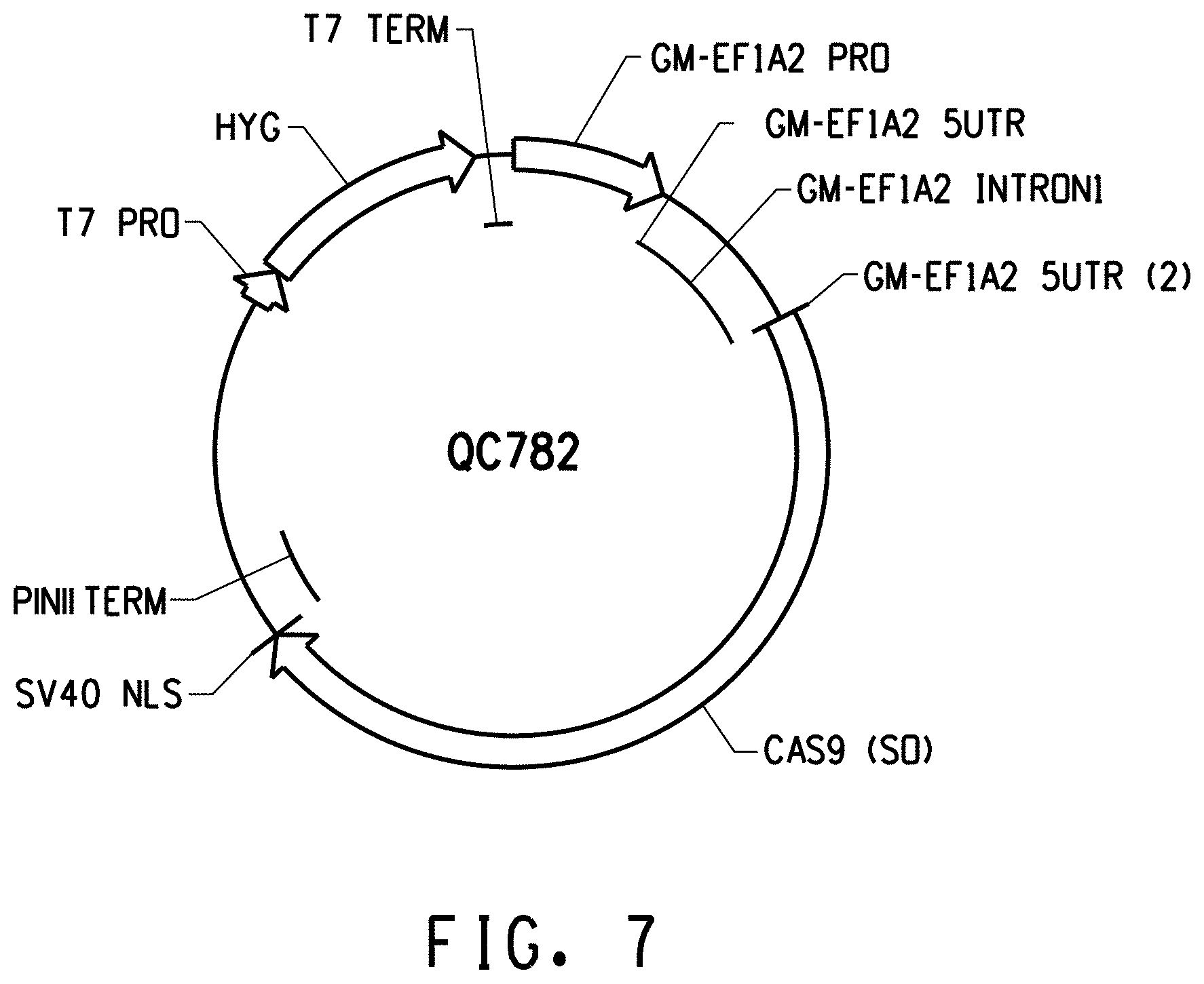 Patent US11773400 Figure 9 – Methods for producing genetic modifications in a plant genome without incorporating a selectable transgene marker, and compositions thereof
