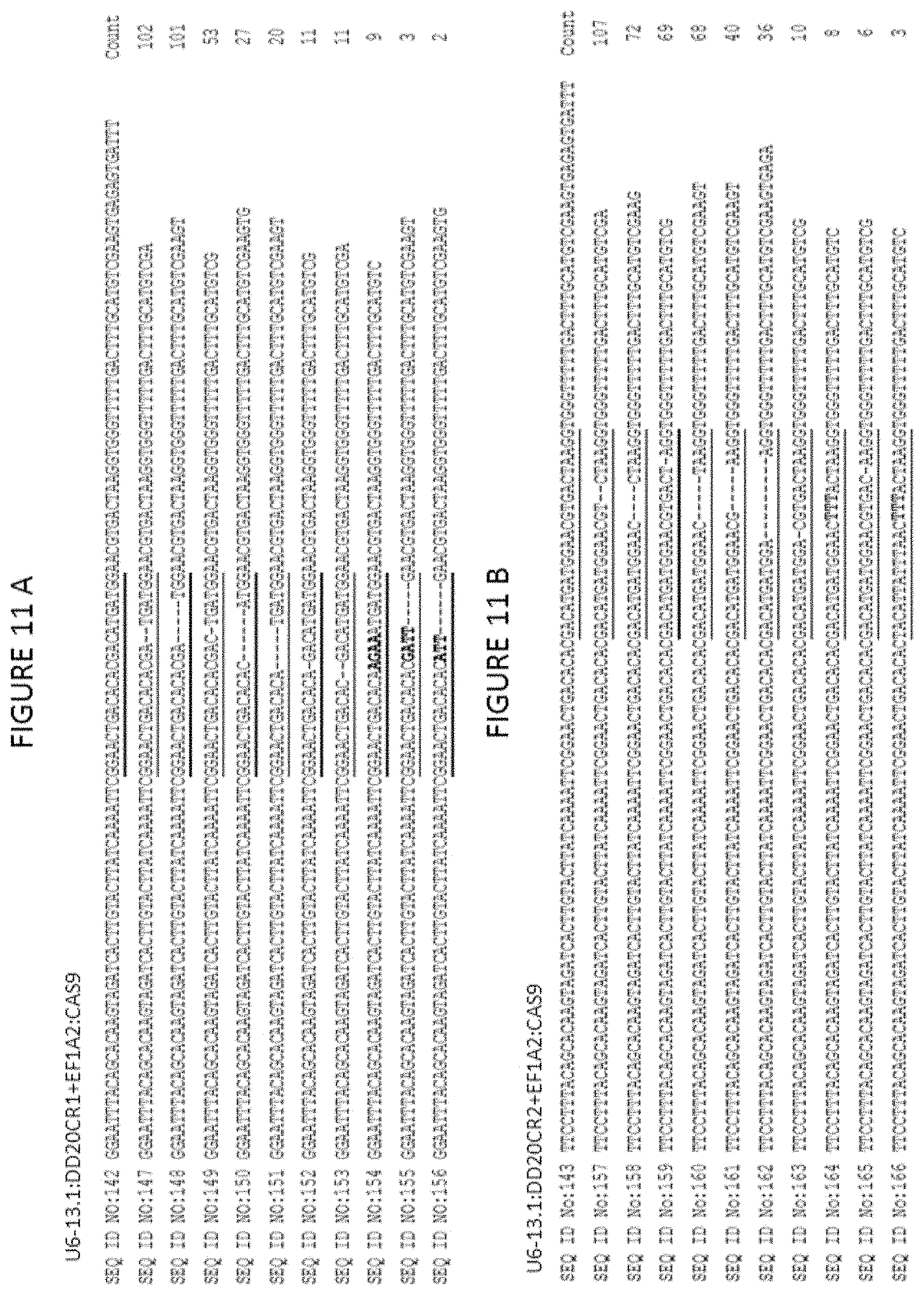 Patent US11773400 Figure 13 – Methods for producing genetic modifications in a plant genome without incorporating a selectable transgene marker, and compositions thereof