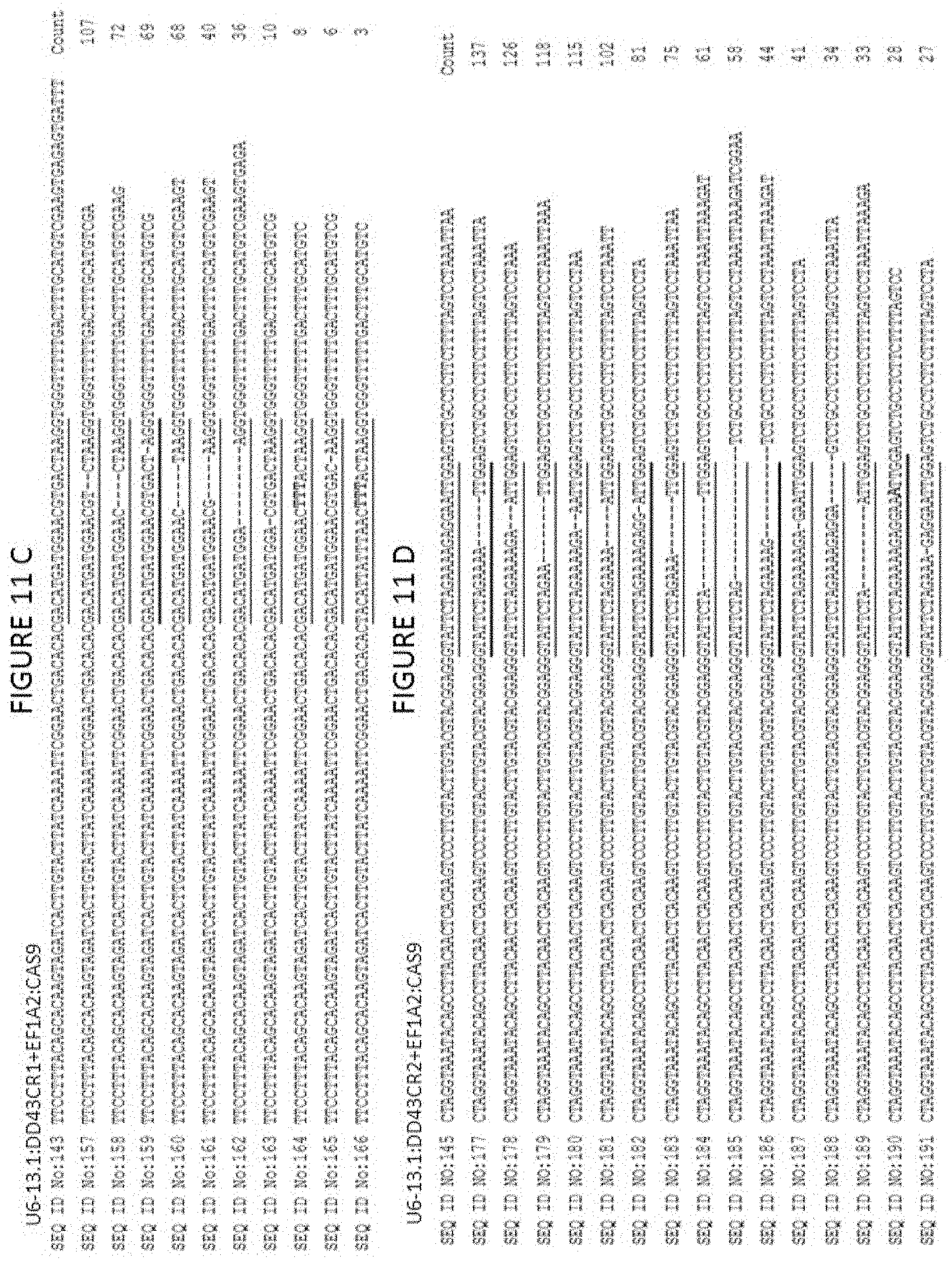 Patent US11773400 Figure 14 – Methods for producing genetic modifications in a plant genome without incorporating a selectable transgene marker, and compositions thereof