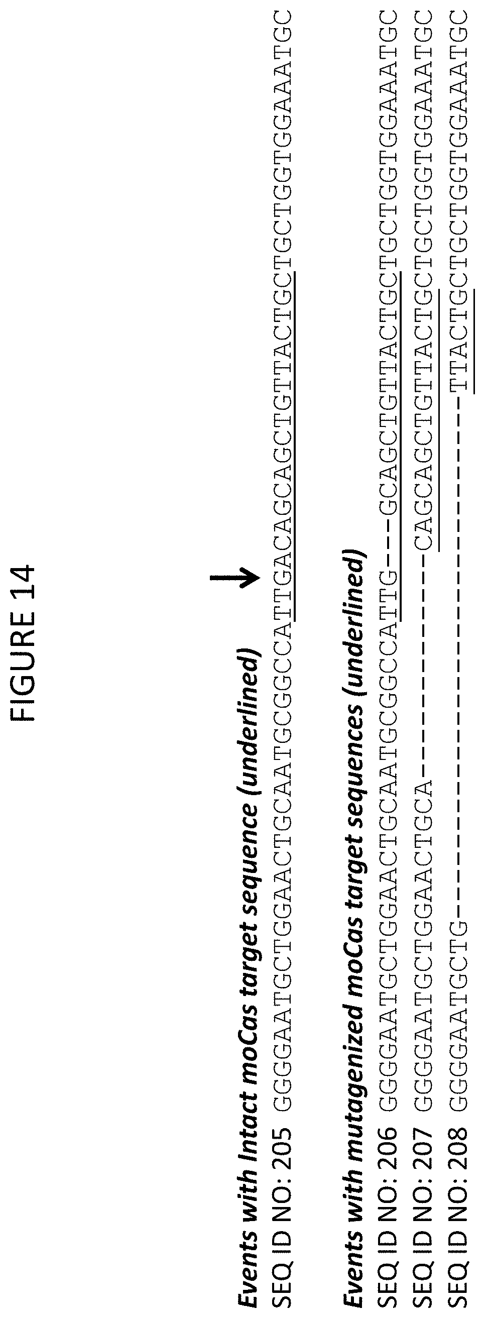Patent US11773400 Figure 17 – Methods for producing genetic modifications in a plant genome without incorporating a selectable transgene marker, and compositions thereof