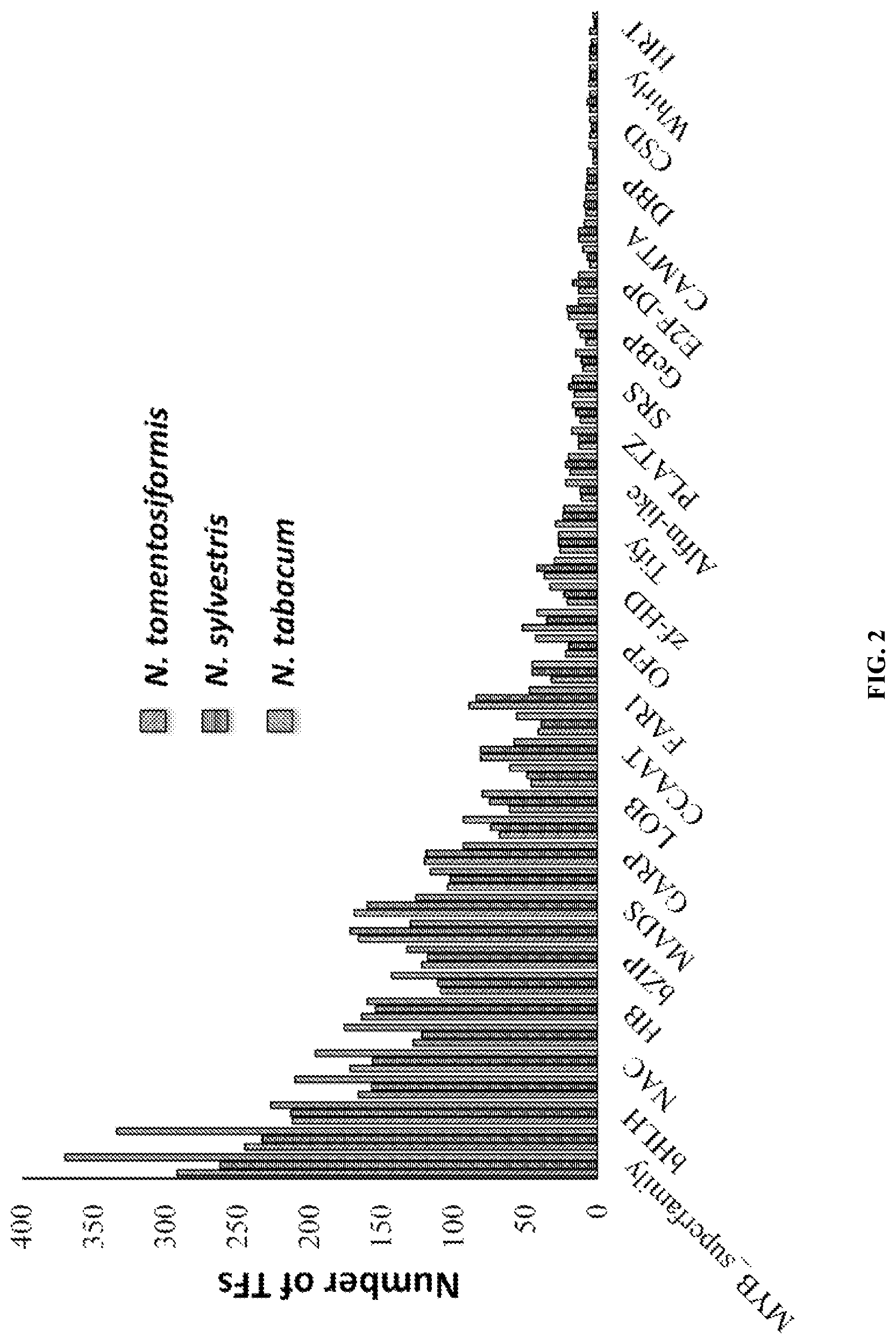 Patent US11773401 Figure 2 – bZIP transcription factors regulate conversion of nicotine to nornicotine