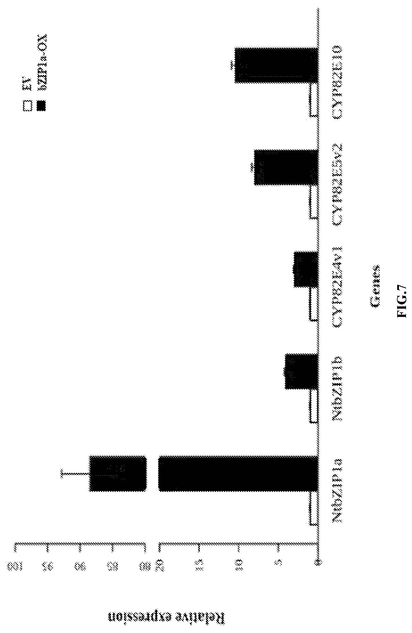 Patent US11773401 Figure 7 – bZIP transcription factors regulate conversion of nicotine to nornicotine