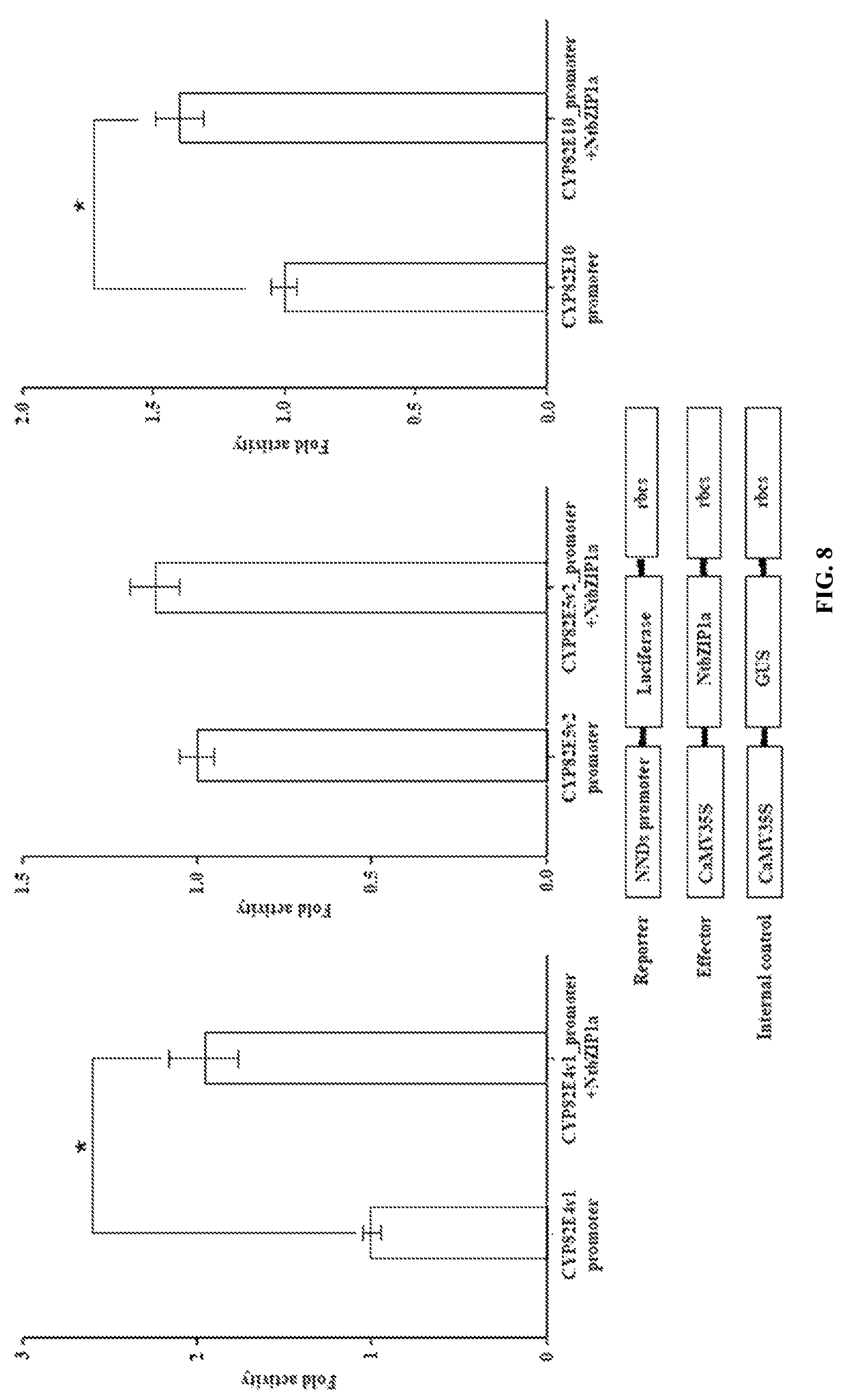 Patent US11773401 Figure 8 – bZIP transcription factors regulate conversion of nicotine to nornicotine
