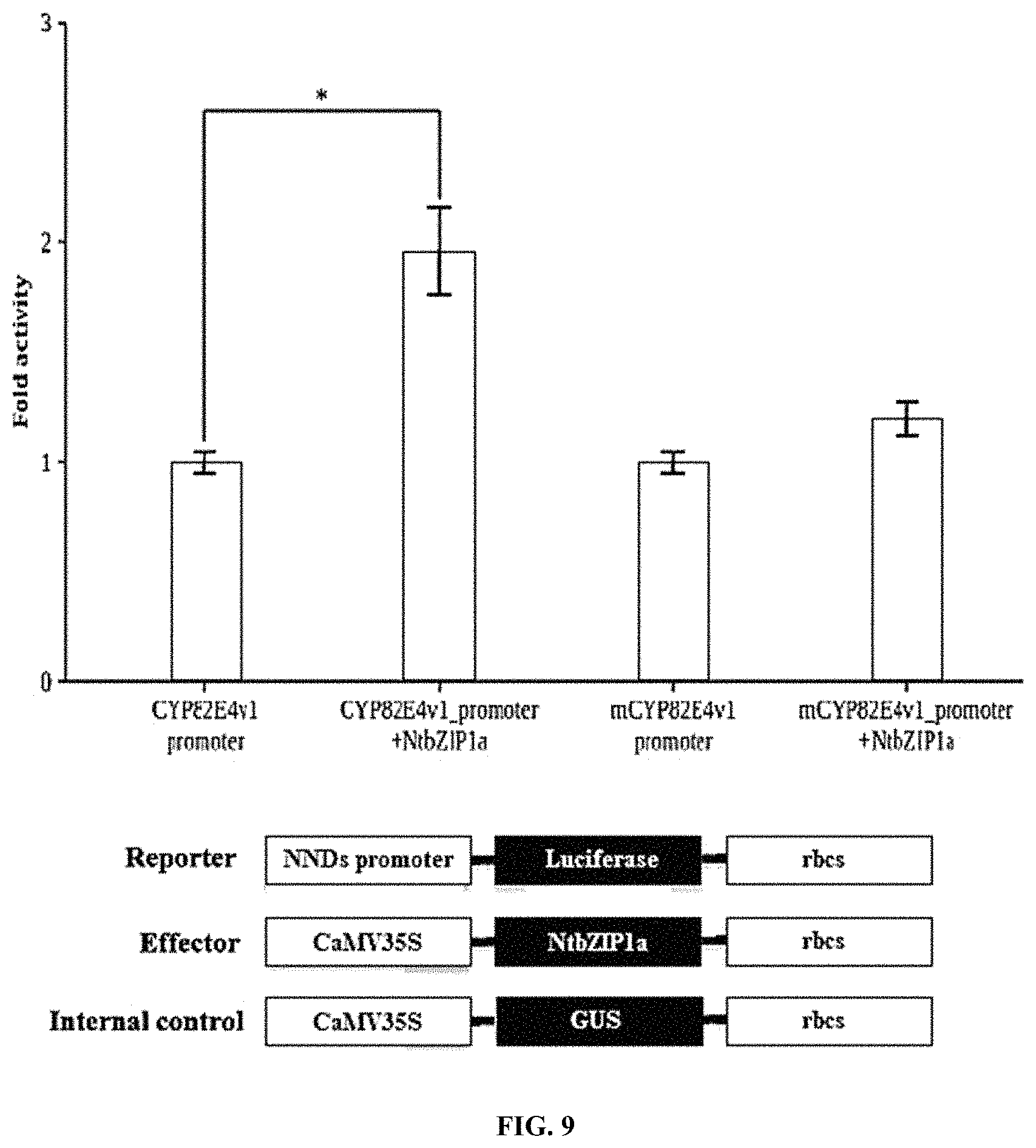 Patent US11773401 Figure 9 – bZIP transcription factors regulate conversion of nicotine to nornicotine