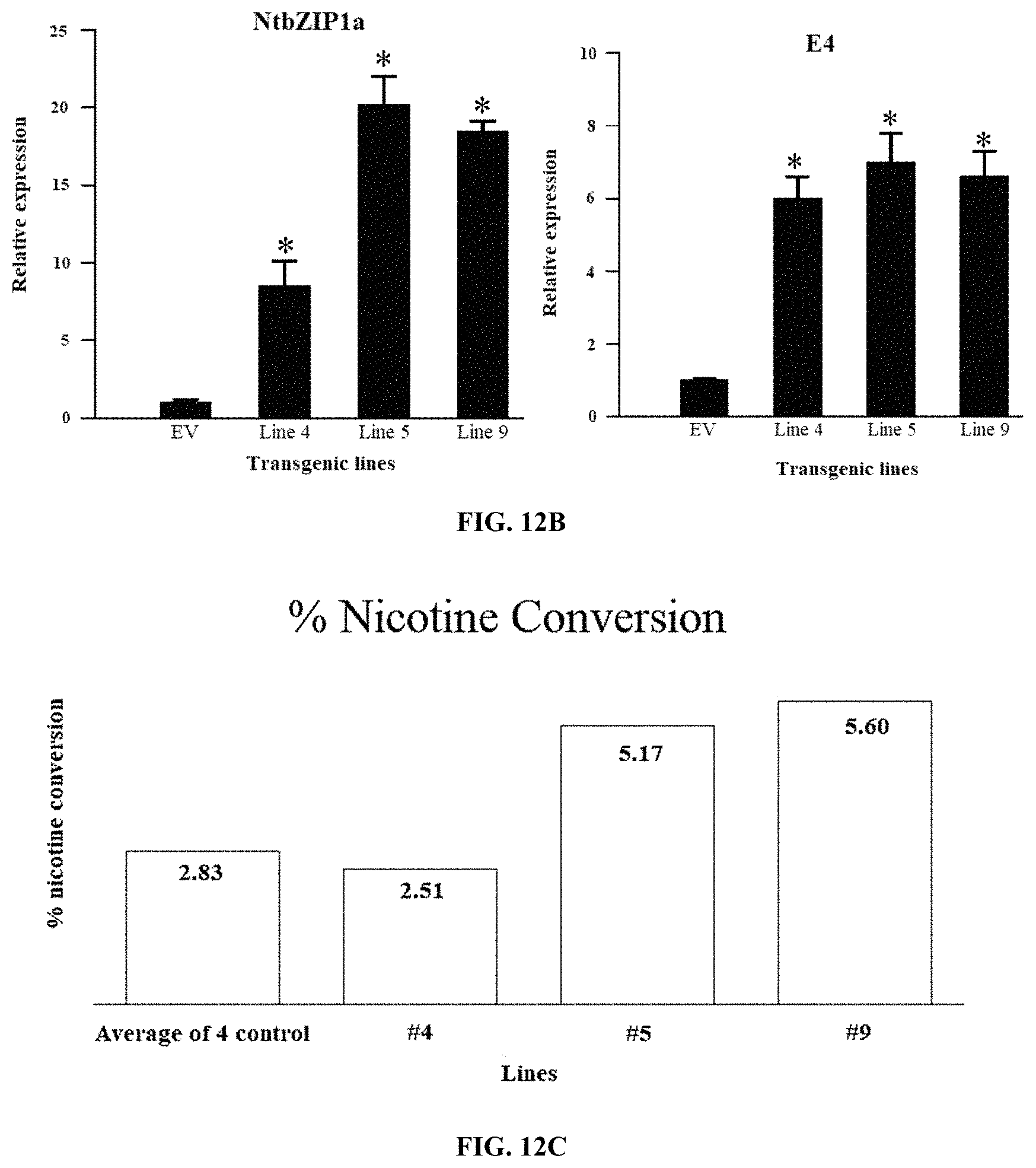 Patent US11773401 Figure 12 – bZIP transcription factors regulate conversion of nicotine to nornicotine