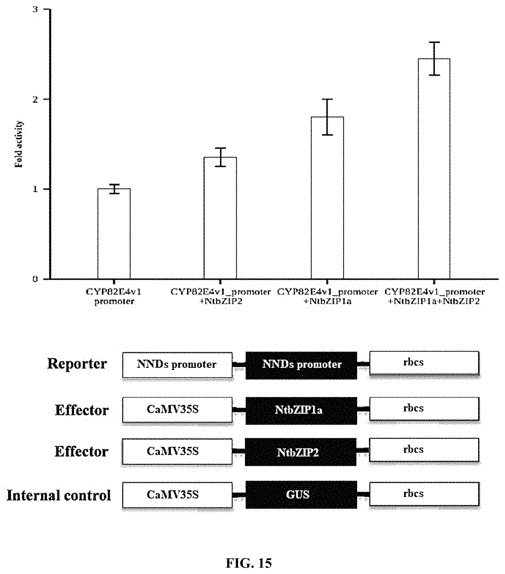Patent US11773401 Figure 15 – bZIP transcription factors regulate conversion of nicotine to nornicotine