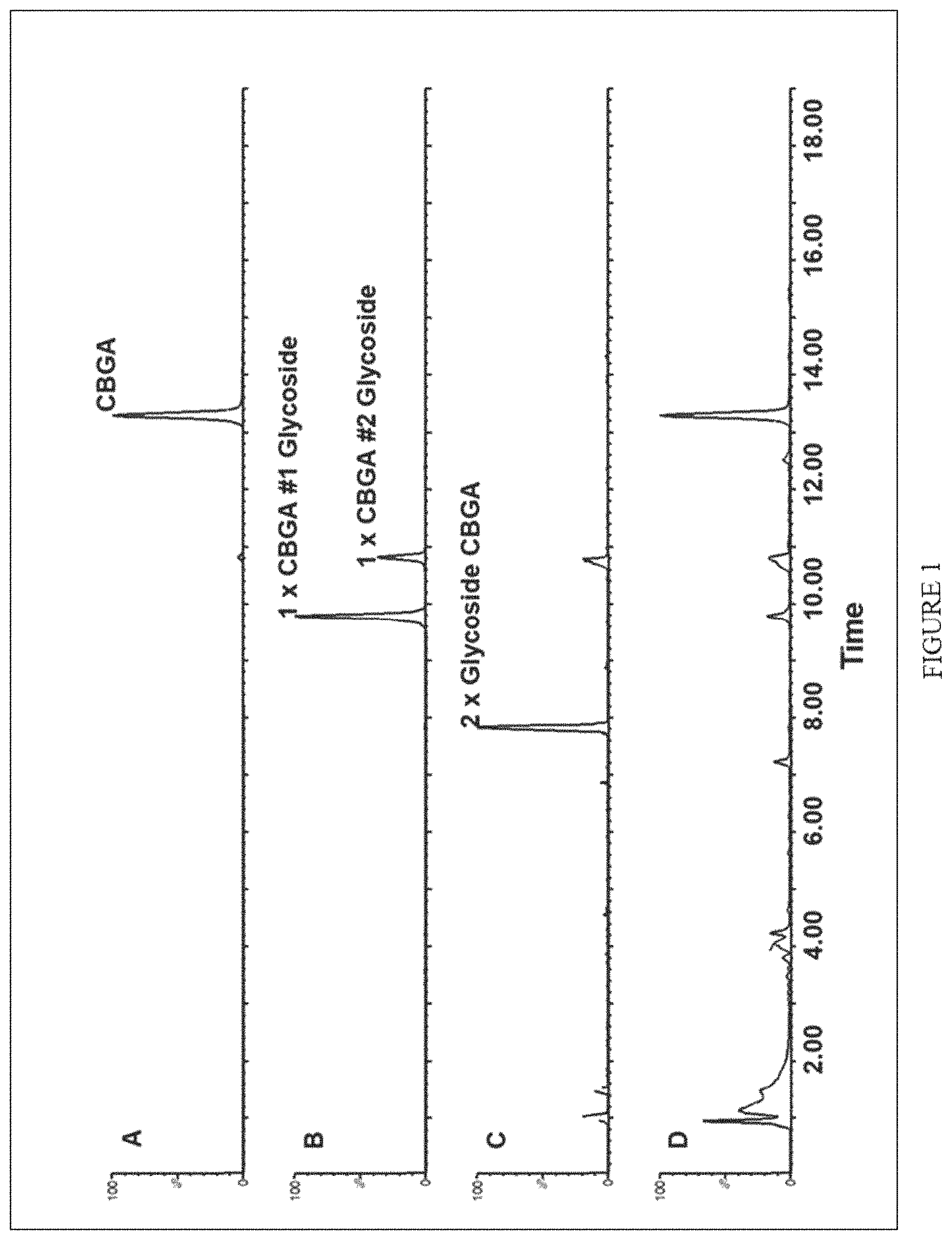 Patent US11773402 Figure 1 – High level in vivo biosynthesis and isolation of water-soluble cannabinoids in stably transformed plant systems