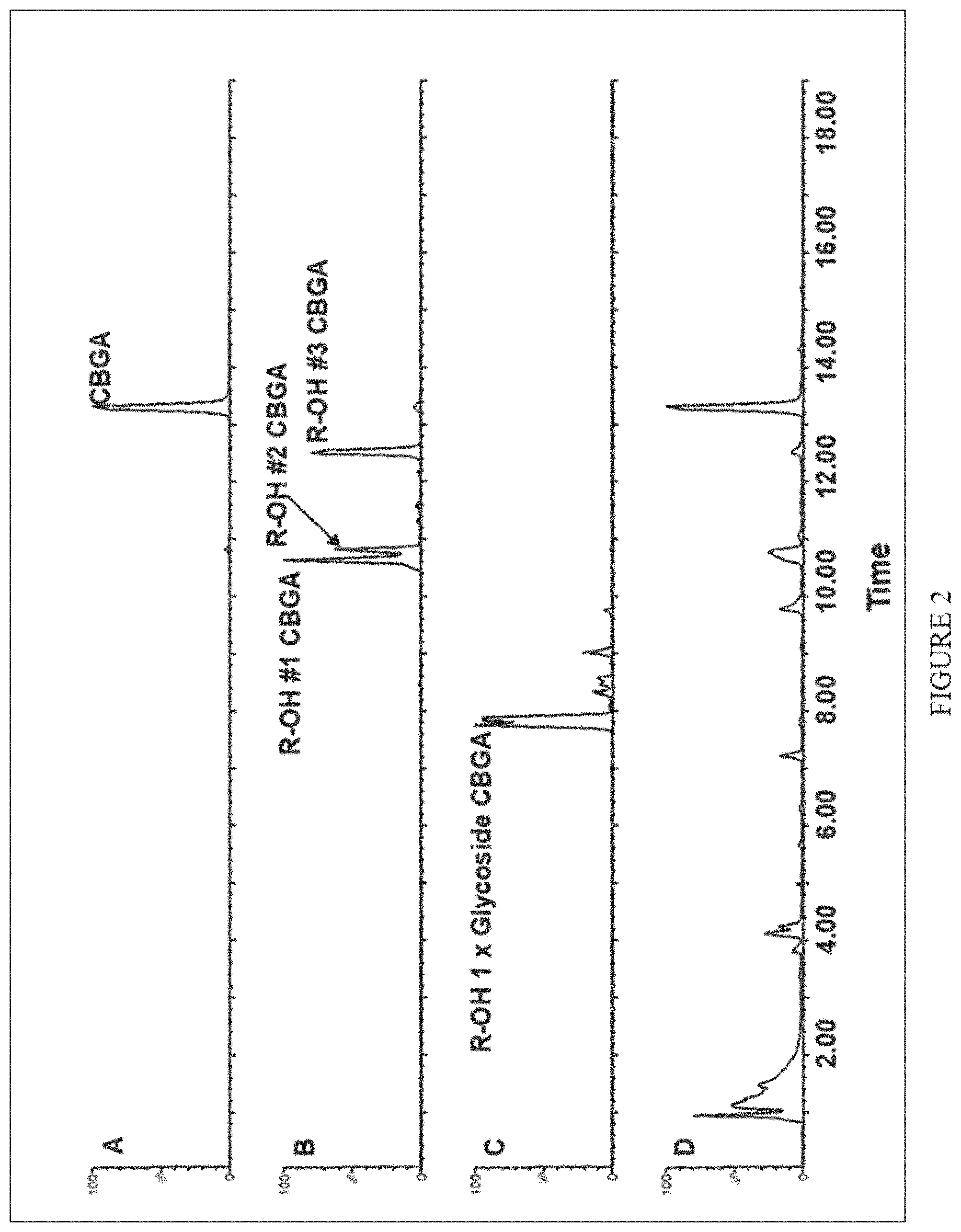 Patent US11773402 Figure 2 – High level in vivo biosynthesis and isolation of water-soluble cannabinoids in stably transformed plant systems