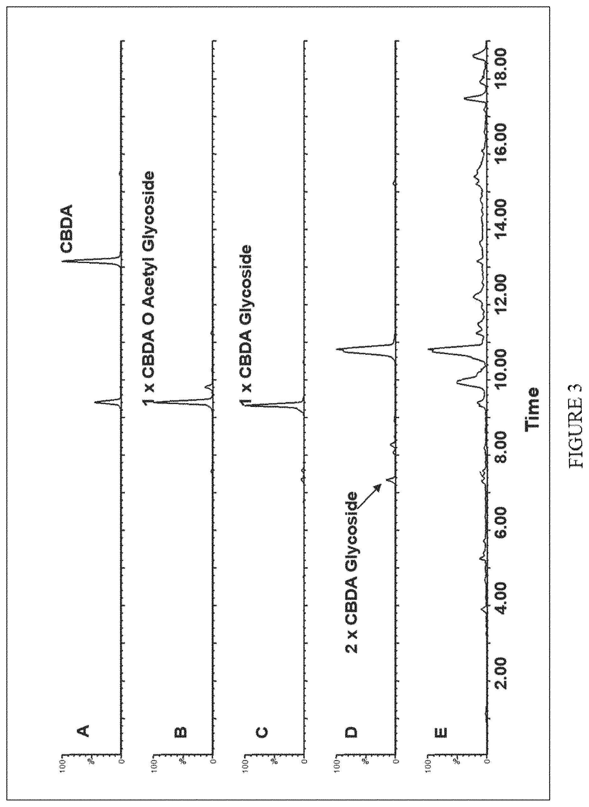 Patent US11773402 Figure 3 – High level in vivo biosynthesis and isolation of water-soluble cannabinoids in stably transformed plant systems