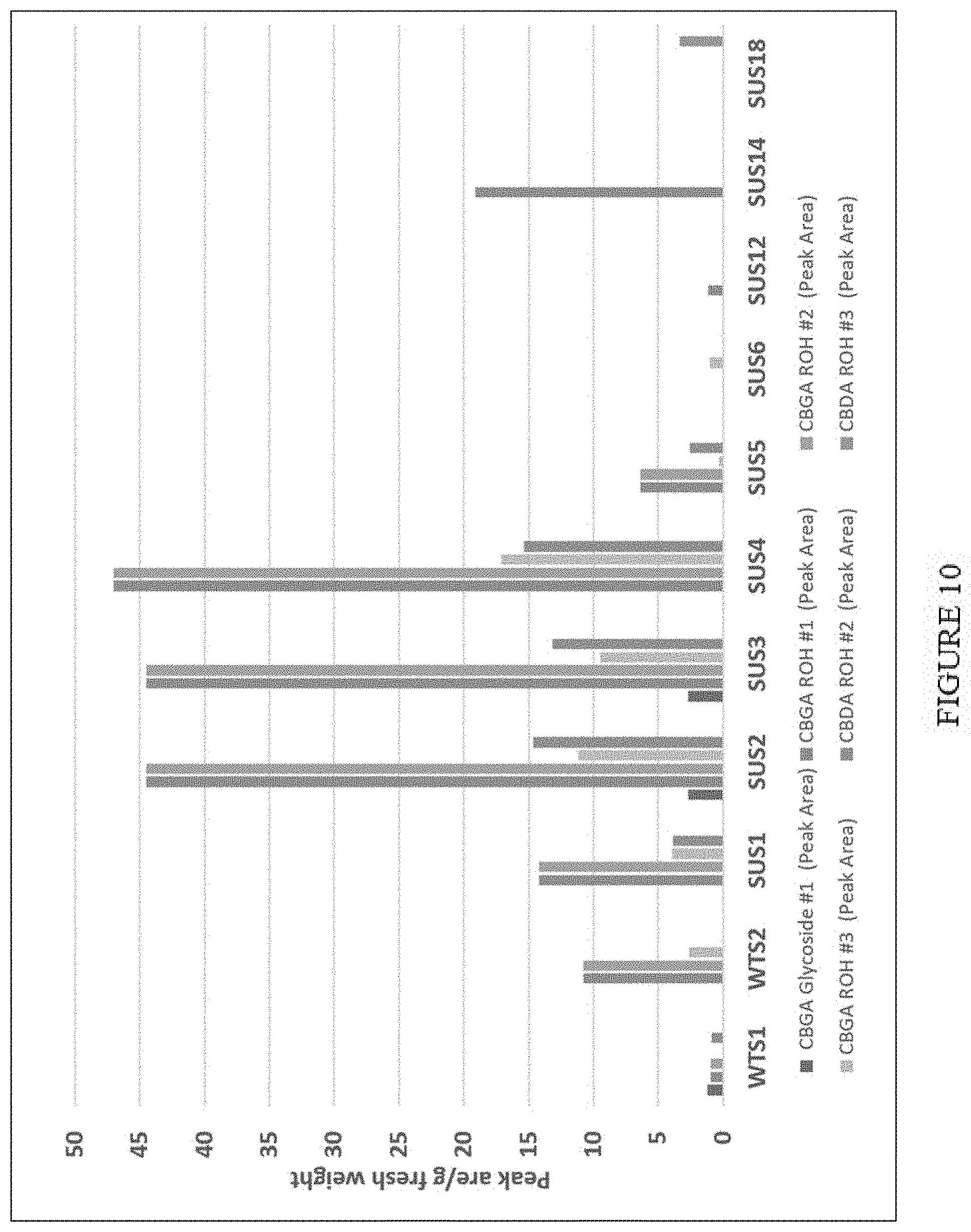 Patent US11773402 Figure 10 – High level in vivo biosynthesis and isolation of water-soluble cannabinoids in stably transformed plant systems