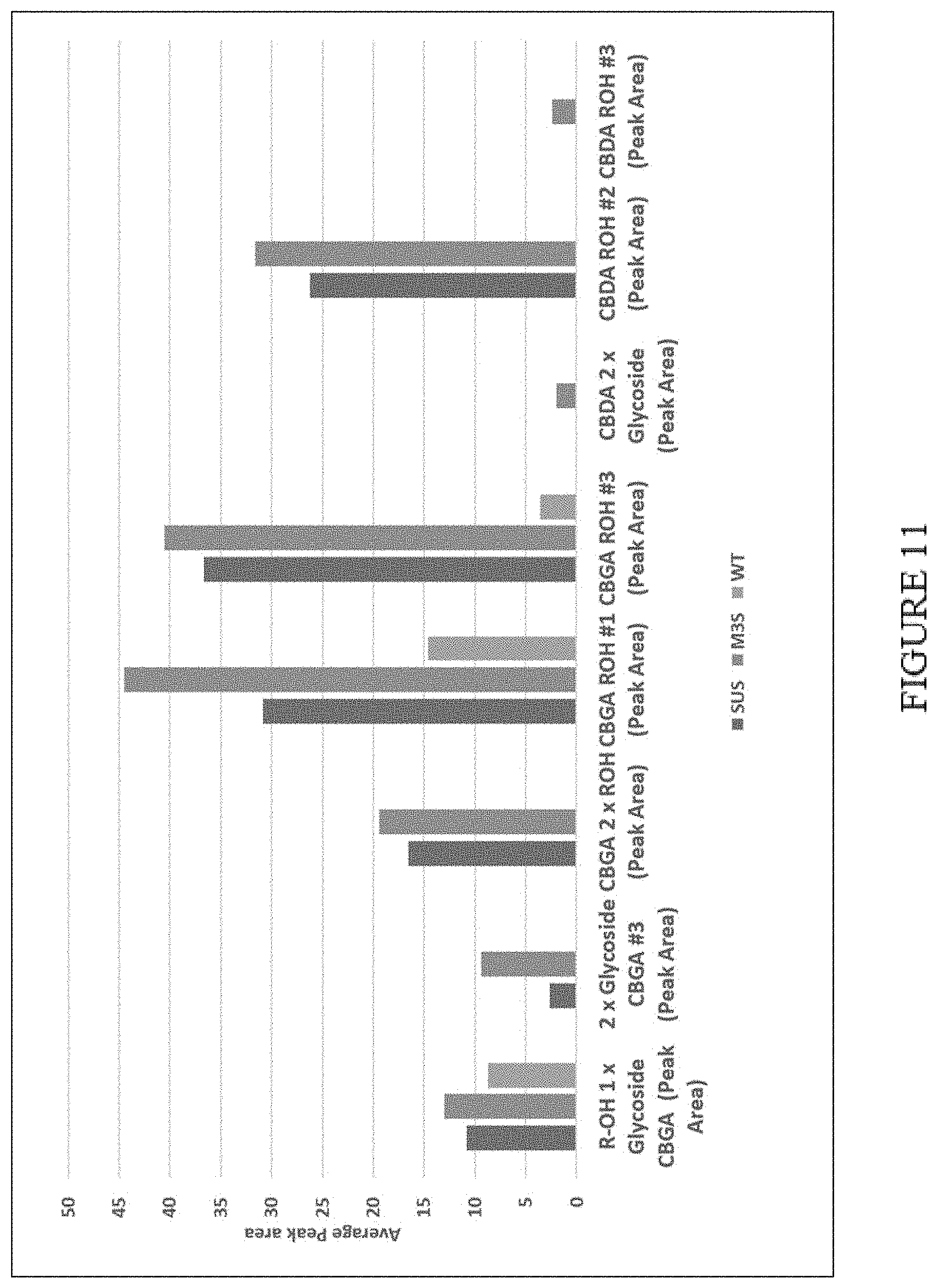 Patent US11773402 Figure 11 – High level in vivo biosynthesis and isolation of water-soluble cannabinoids in stably transformed plant systems