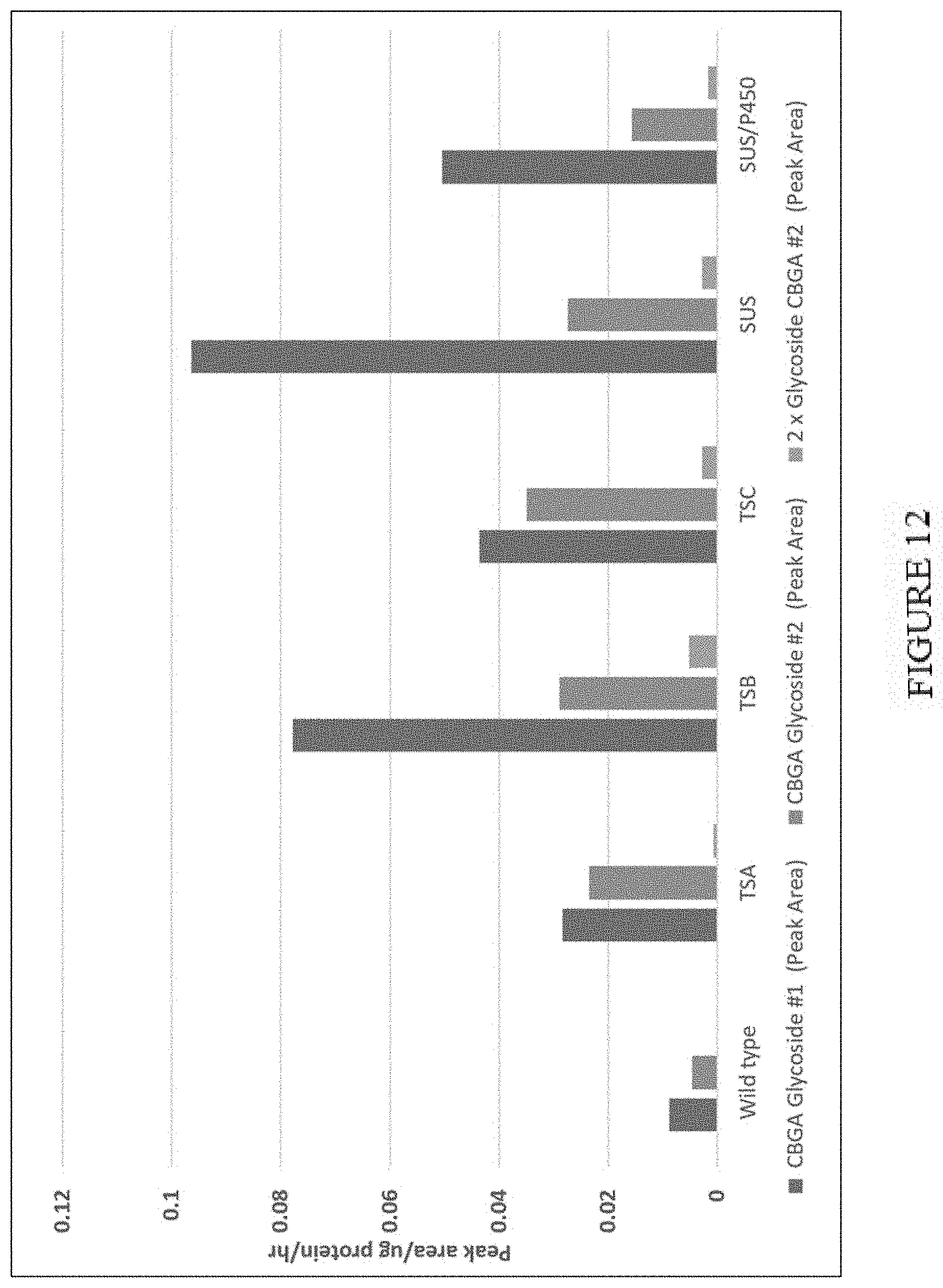 Patent US11773402 Figure 12 – High level in vivo biosynthesis and isolation of water-soluble cannabinoids in stably transformed plant systems