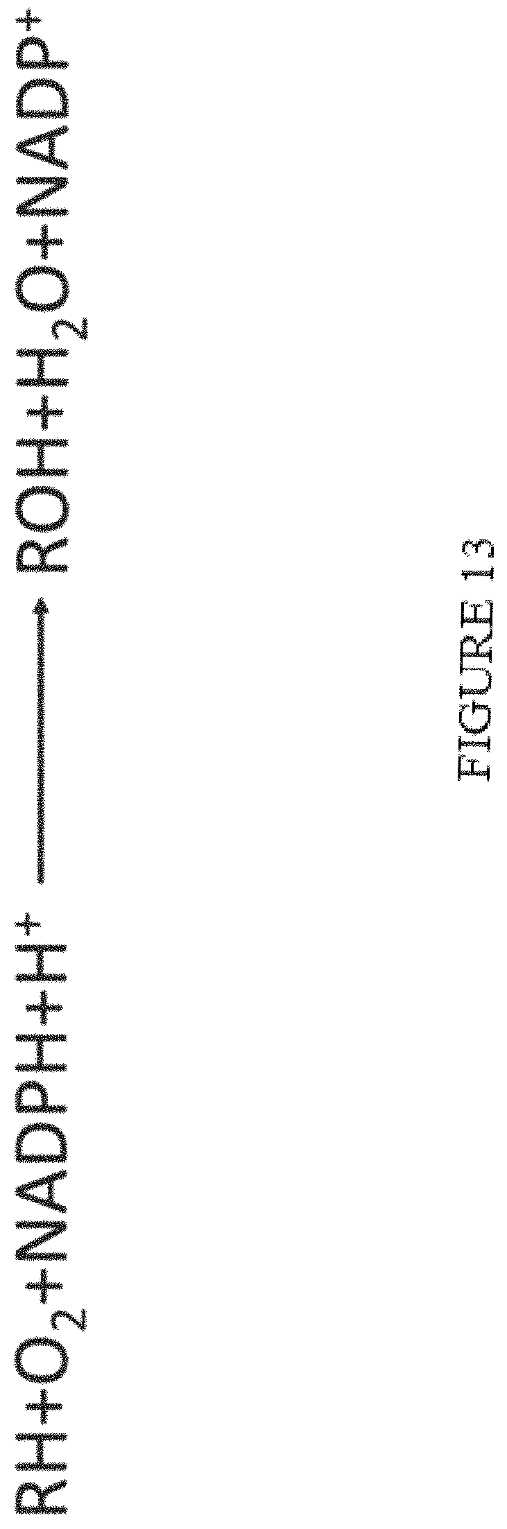 Patent US11773402 Figure 13 – High level in vivo biosynthesis and isolation of water-soluble cannabinoids in stably transformed plant systems
