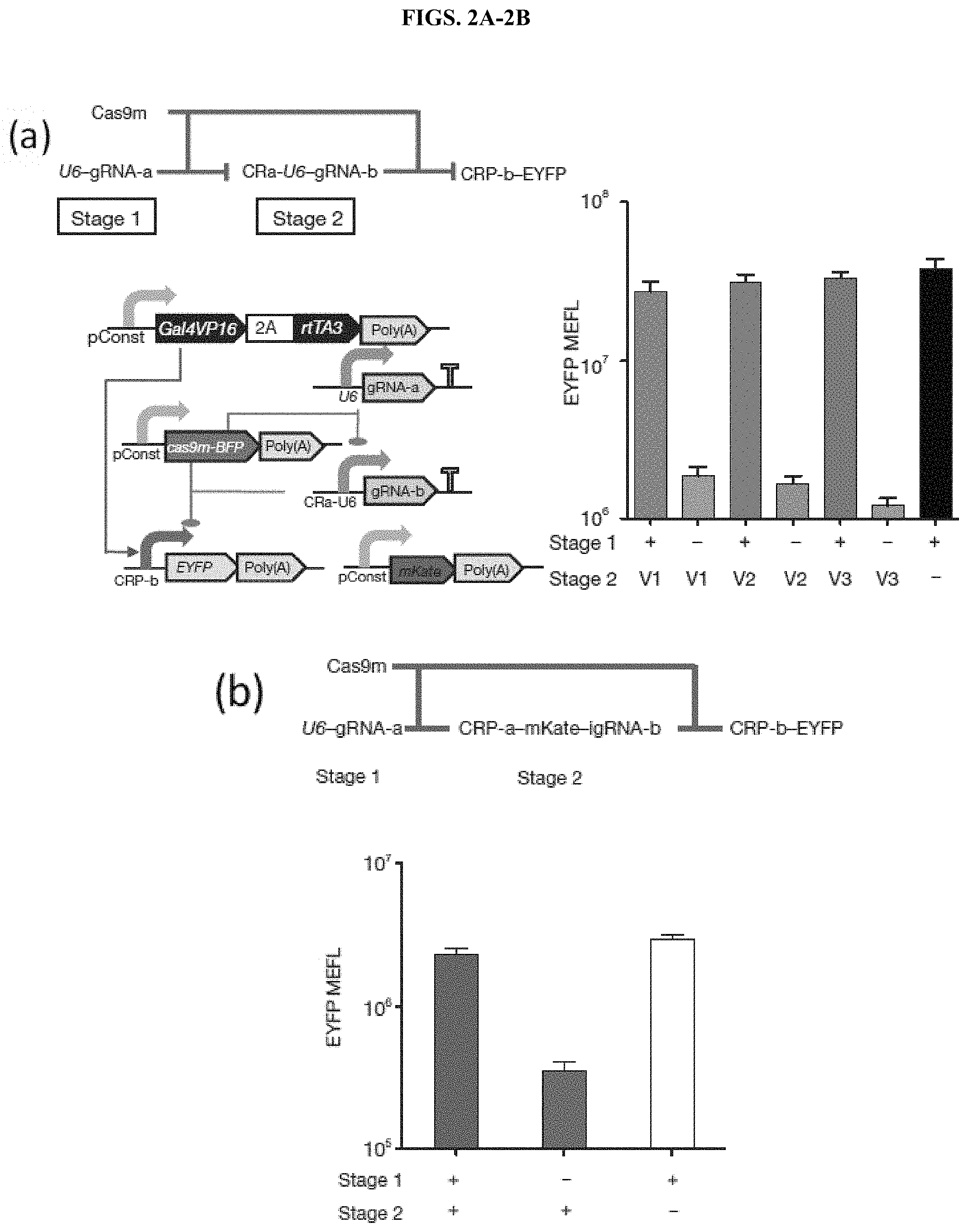 Patent US11773407 Figure 2 – CRISPR logic circuits for safer and controllable gene therapies