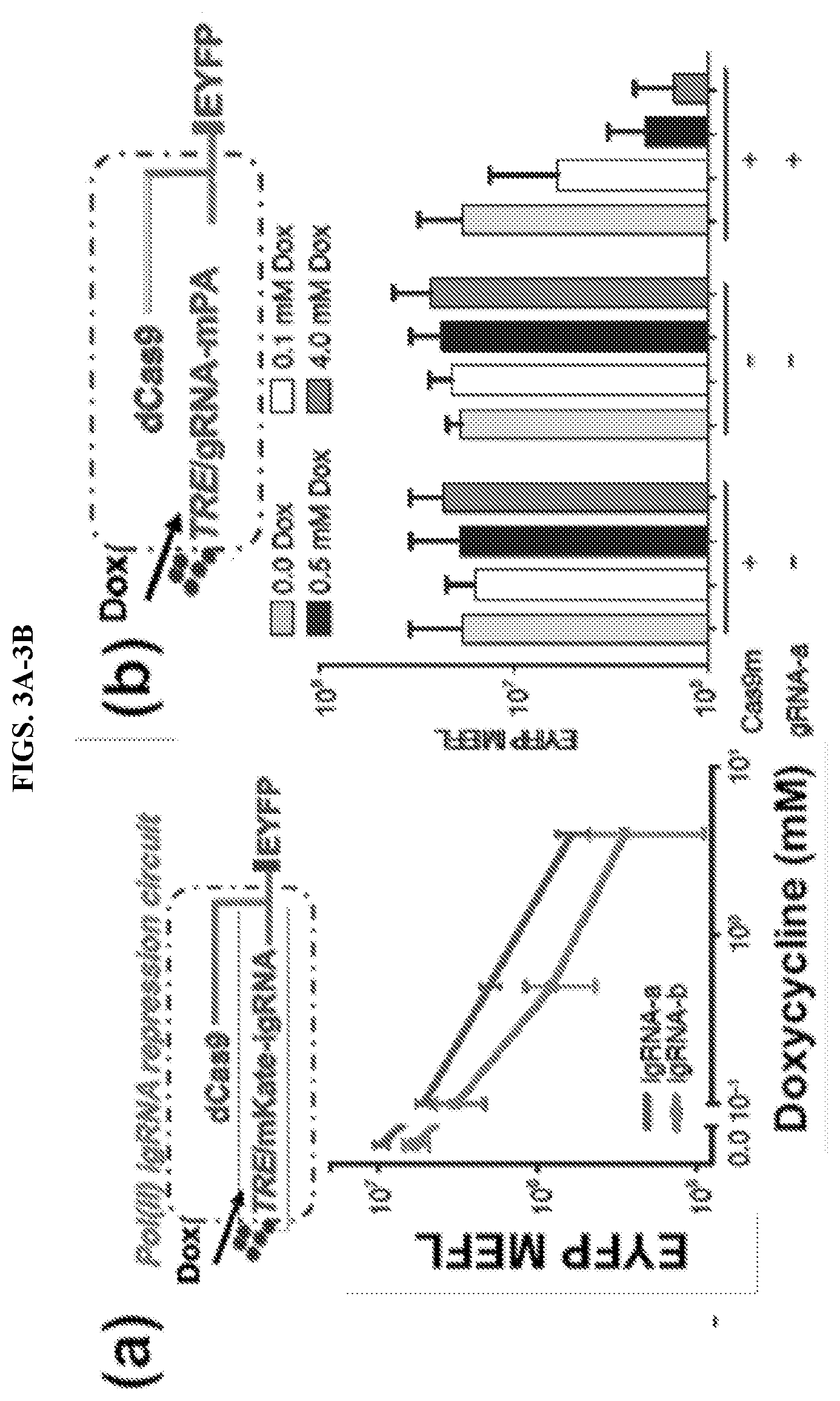 Patent US11773407 Figure 3 – CRISPR logic circuits for safer and controllable gene therapies