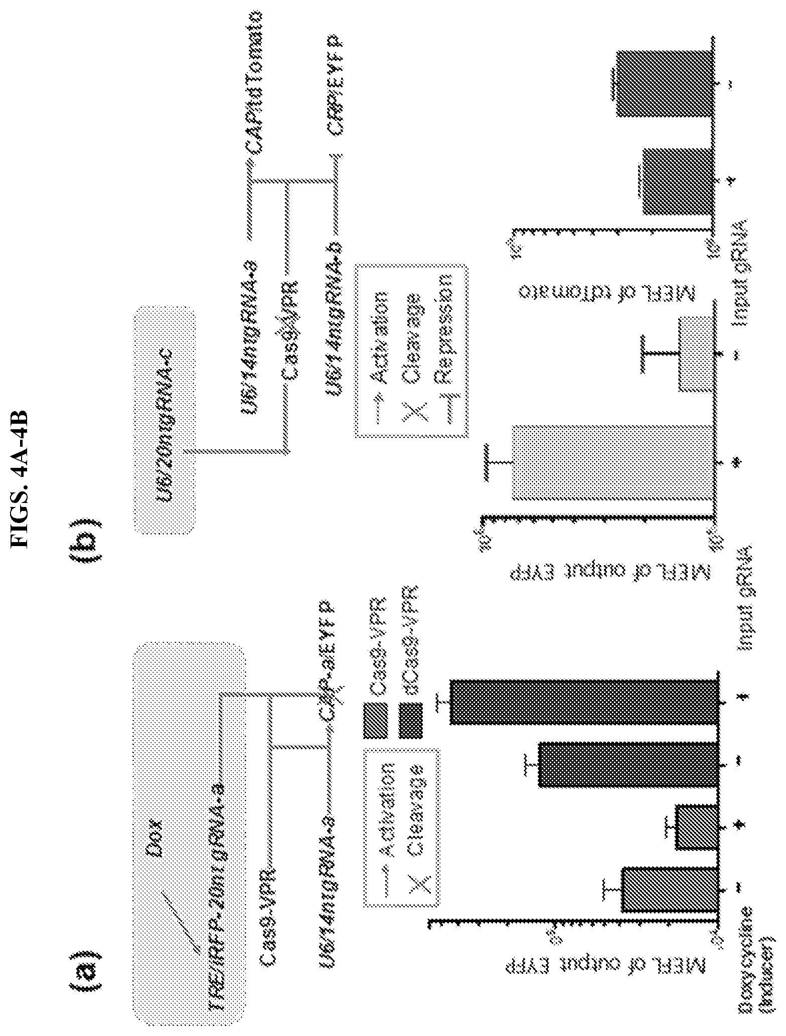 Patent US11773407 Figure 4 – CRISPR logic circuits for safer and controllable gene therapies