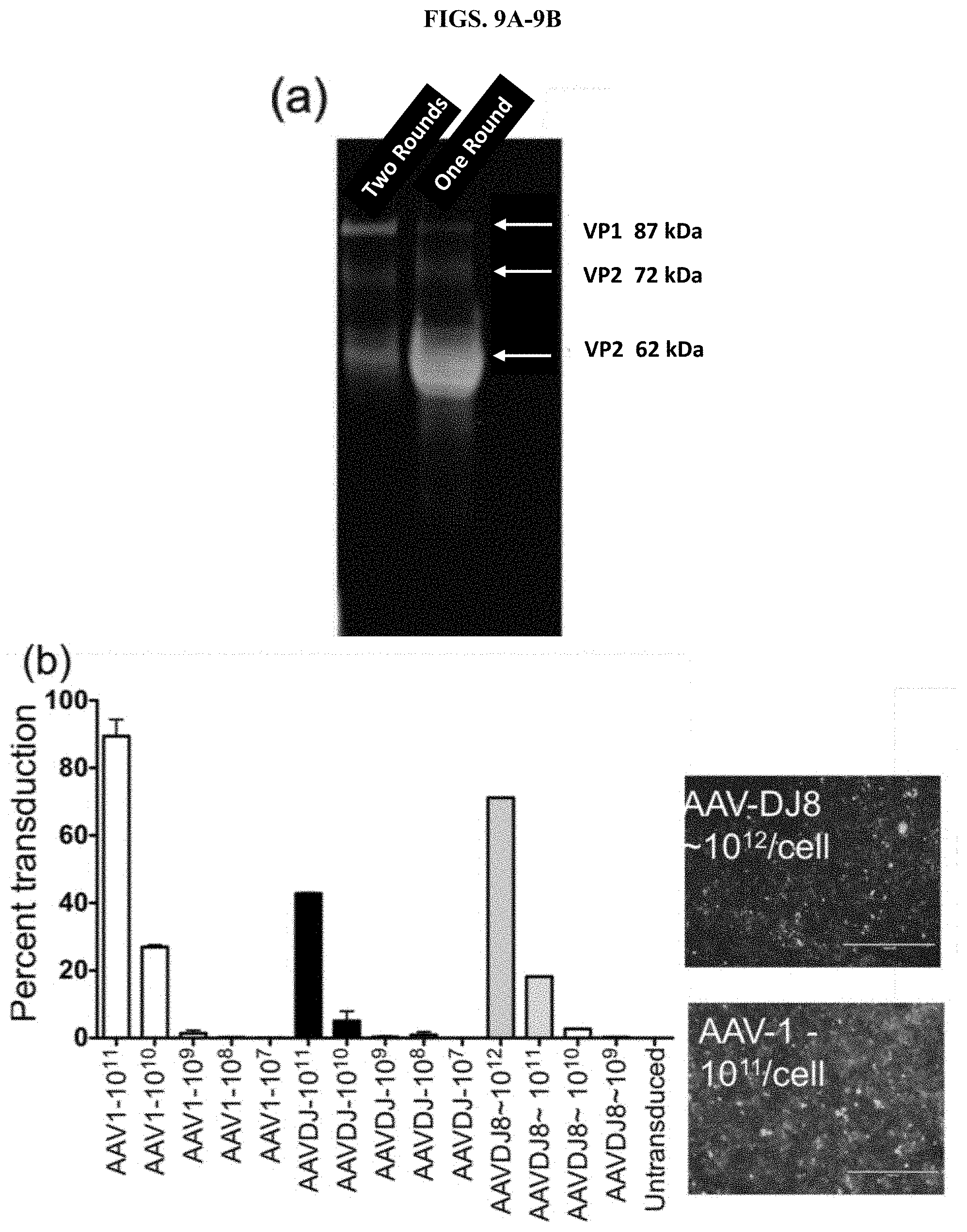 Patent US11773407 Figure 9 – CRISPR logic circuits for safer and controllable gene therapies