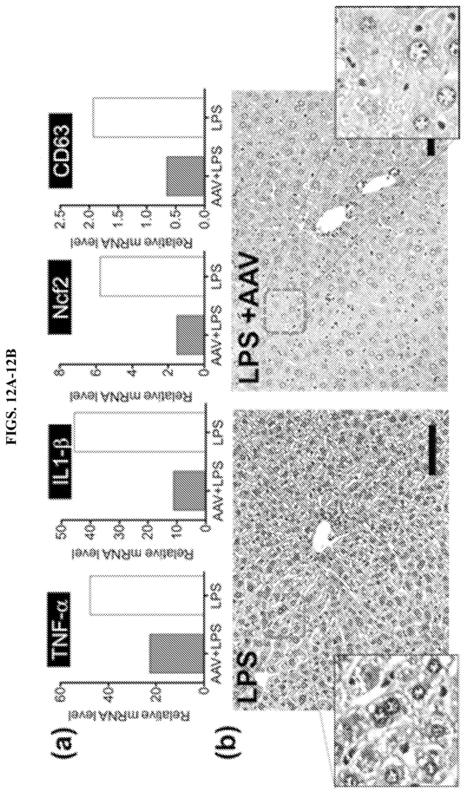 Patent US11773407 Figure 13 – CRISPR logic circuits for safer and controllable gene therapies