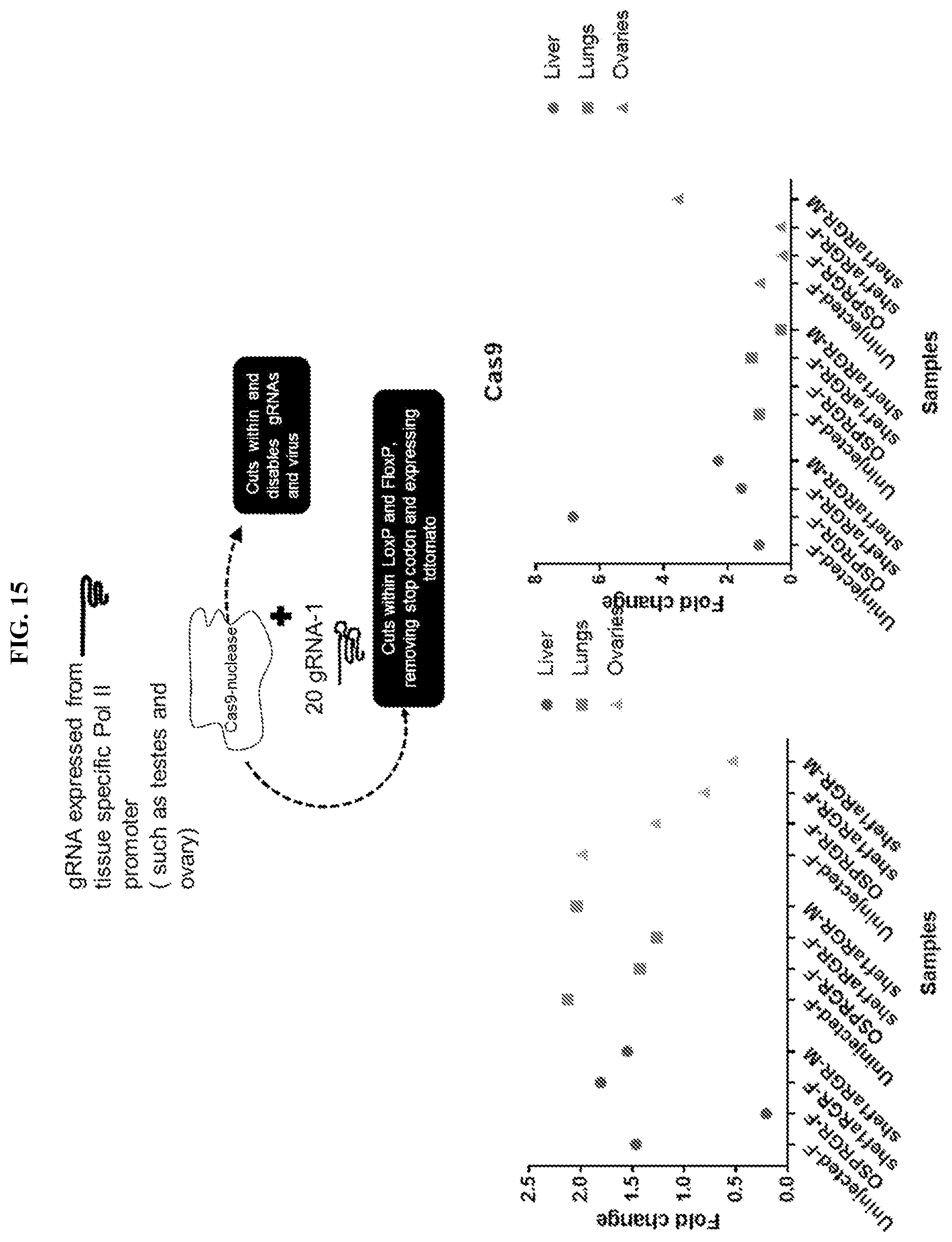 Patent US11773407 Figure 16 – CRISPR logic circuits for safer and controllable gene therapies