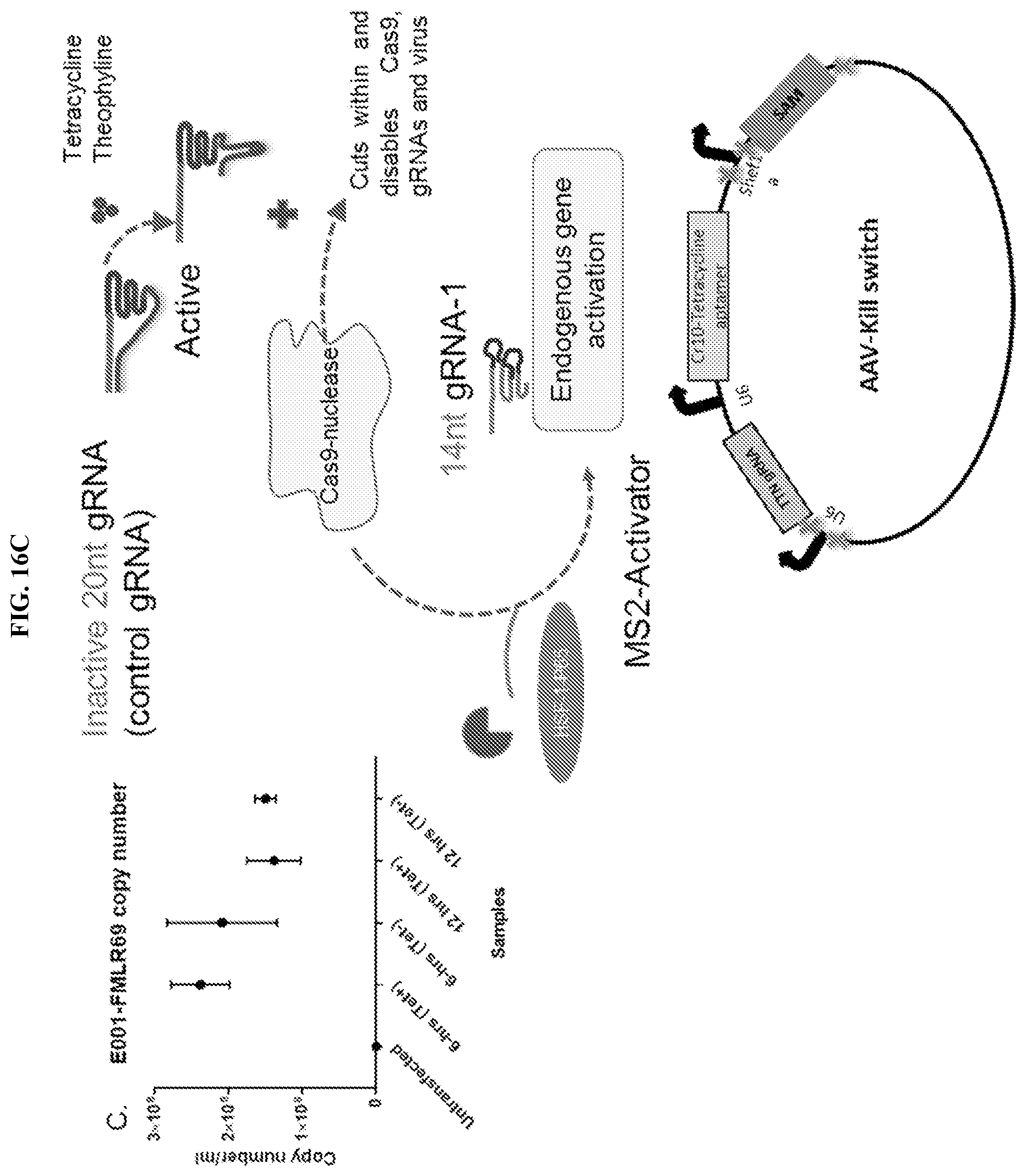 Patent US11773407 Figure 18 – CRISPR logic circuits for safer and controllable gene therapies