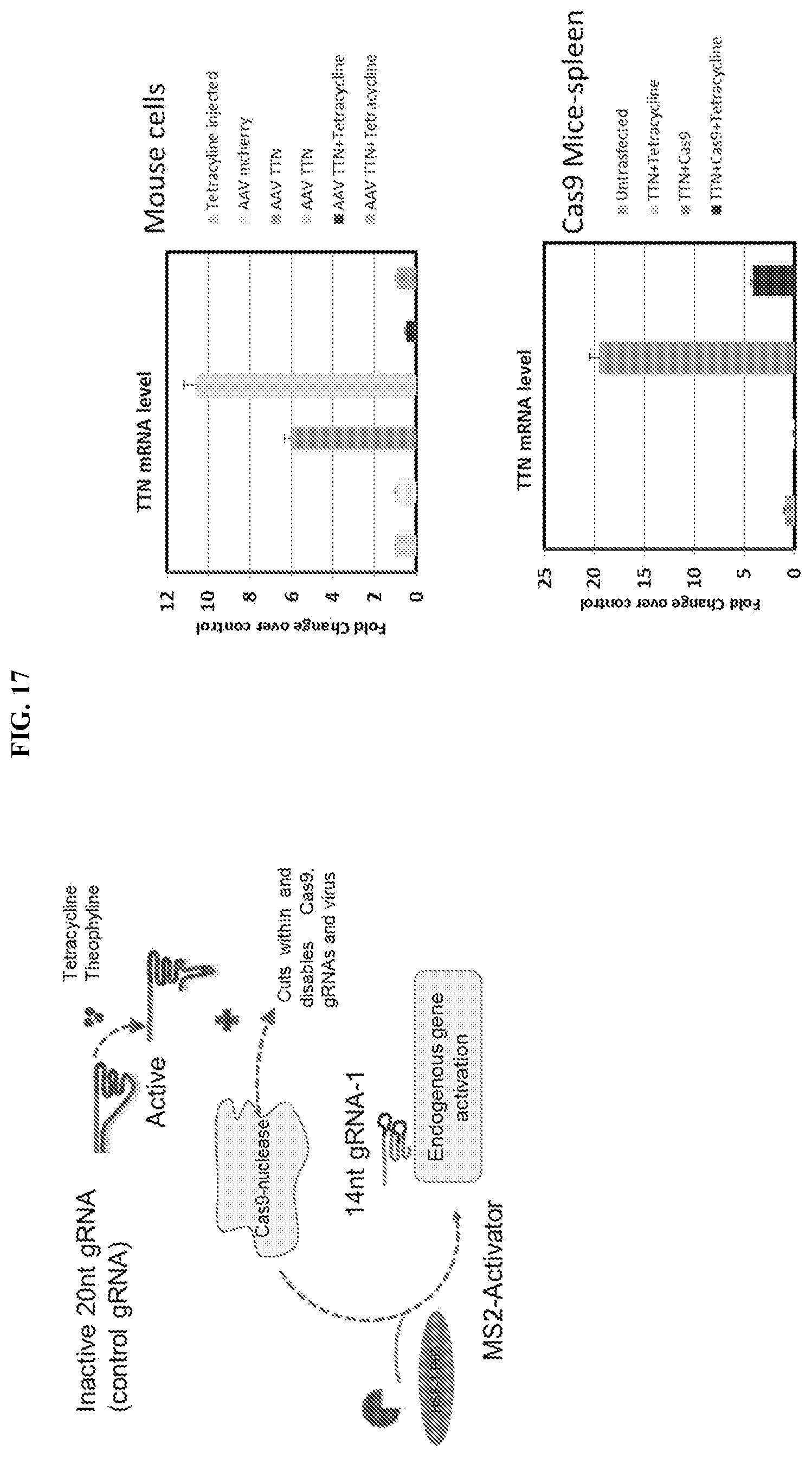 Patent US11773407 Figure 19 – CRISPR logic circuits for safer and controllable gene therapies