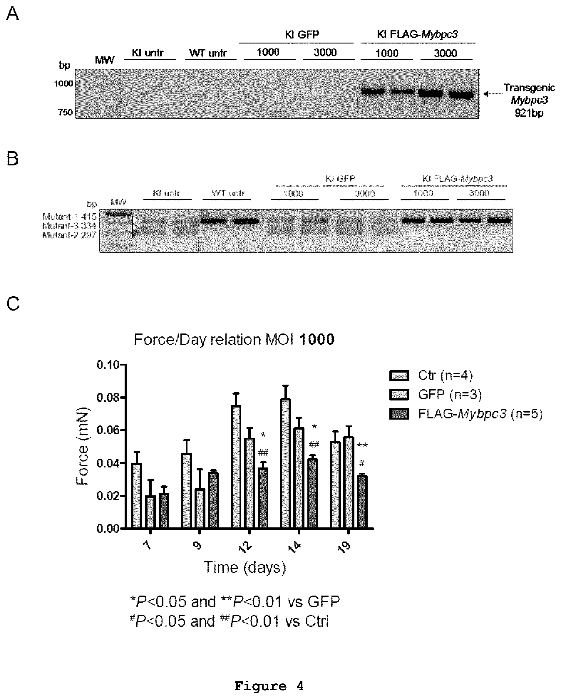 Patent US11773408 Figure 4 – Gene-therapy vectors for treating cardiomyopathy
