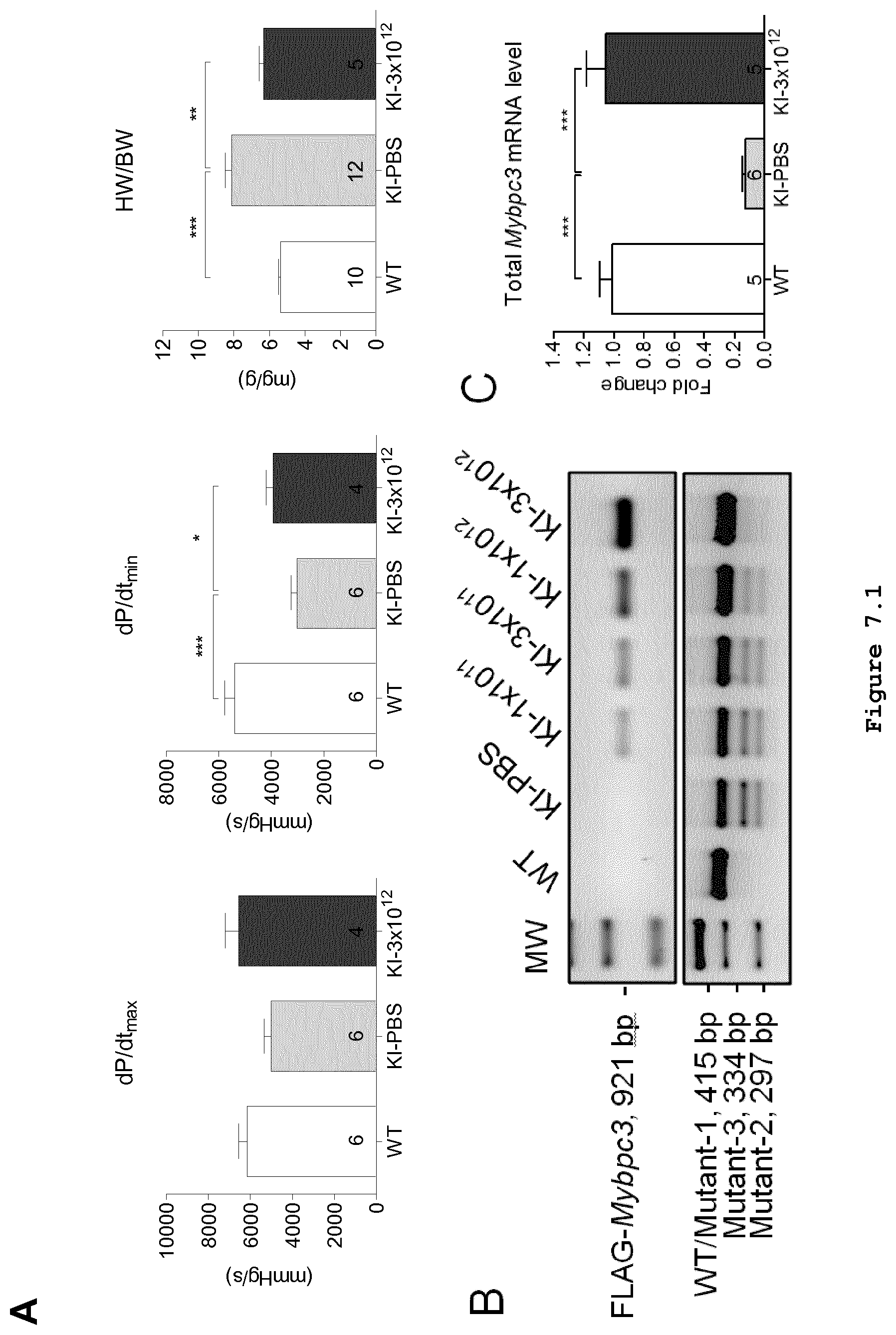 Patent US11773408 Figure 7 – Gene-therapy vectors for treating cardiomyopathy