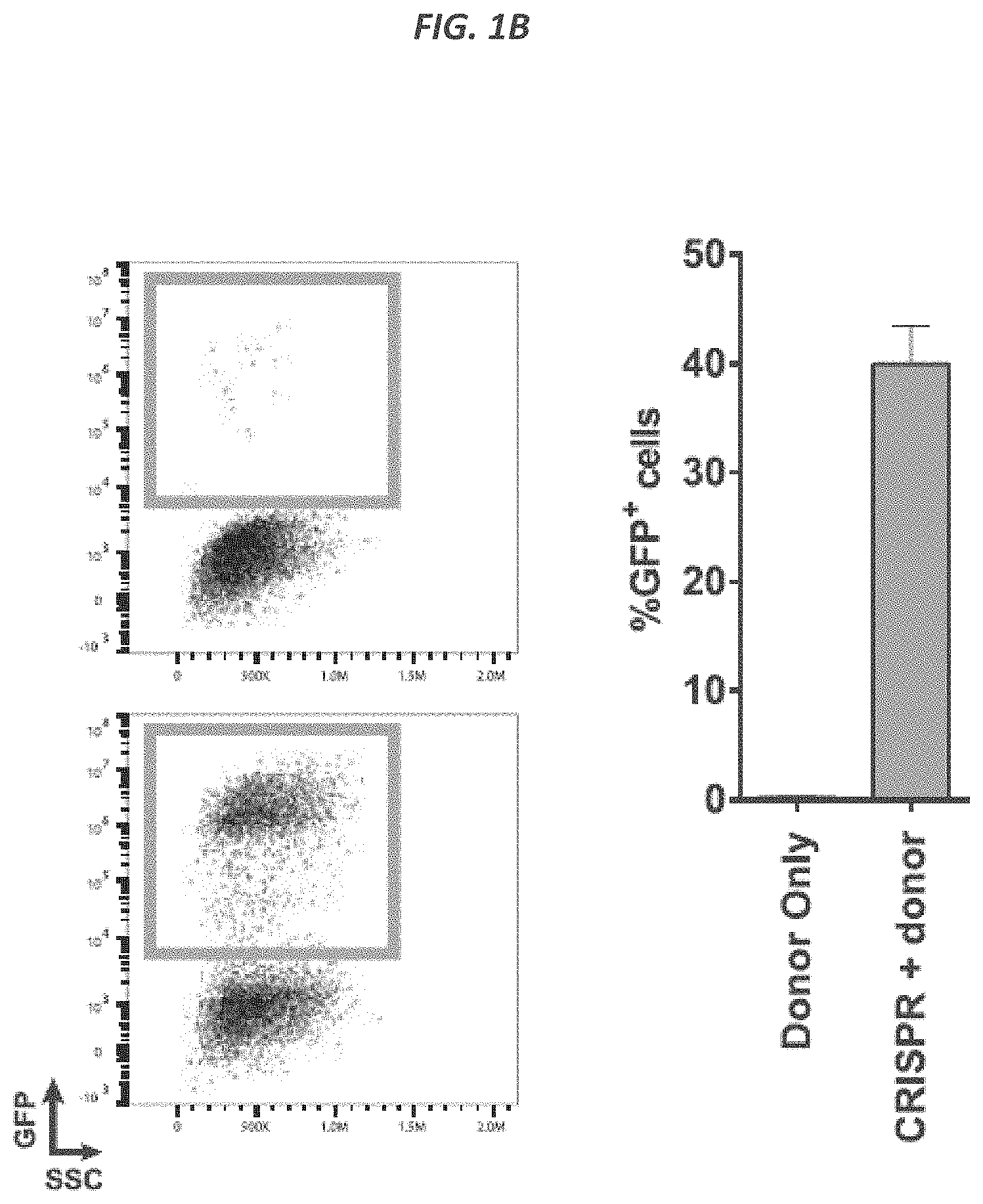 Patent US11773409 Figure 2 – CRISPR/Cas 9-mediated integration of polynucleotides by sequential homologous recombination of AAV donor vectors