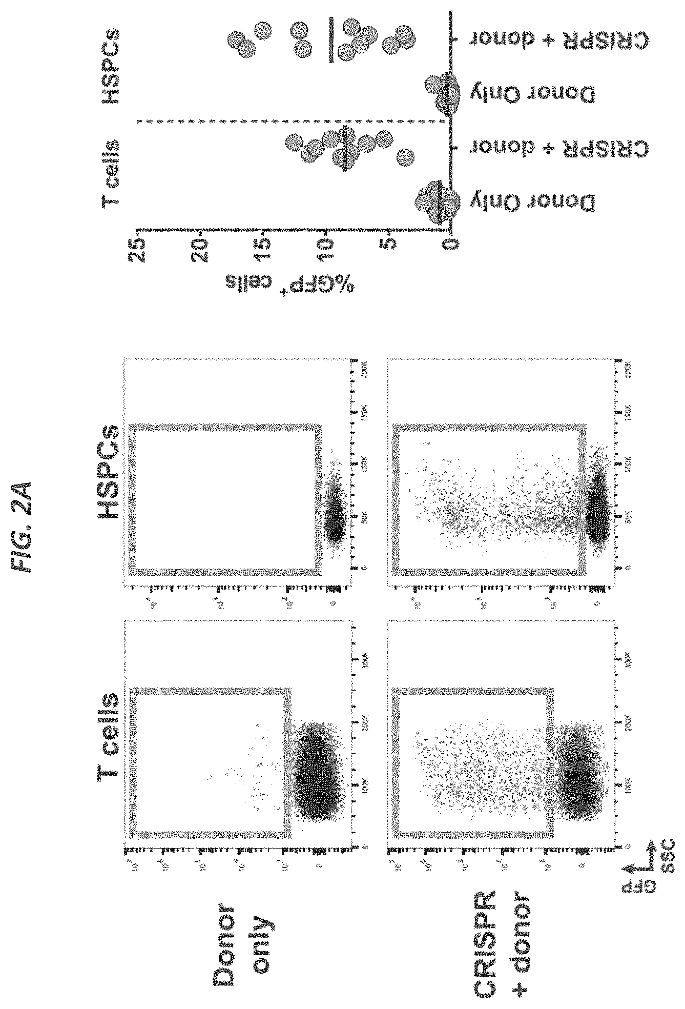 Patent US11773409 Figure 3 – CRISPR/Cas 9-mediated integration of polynucleotides by sequential homologous recombination of AAV donor vectors