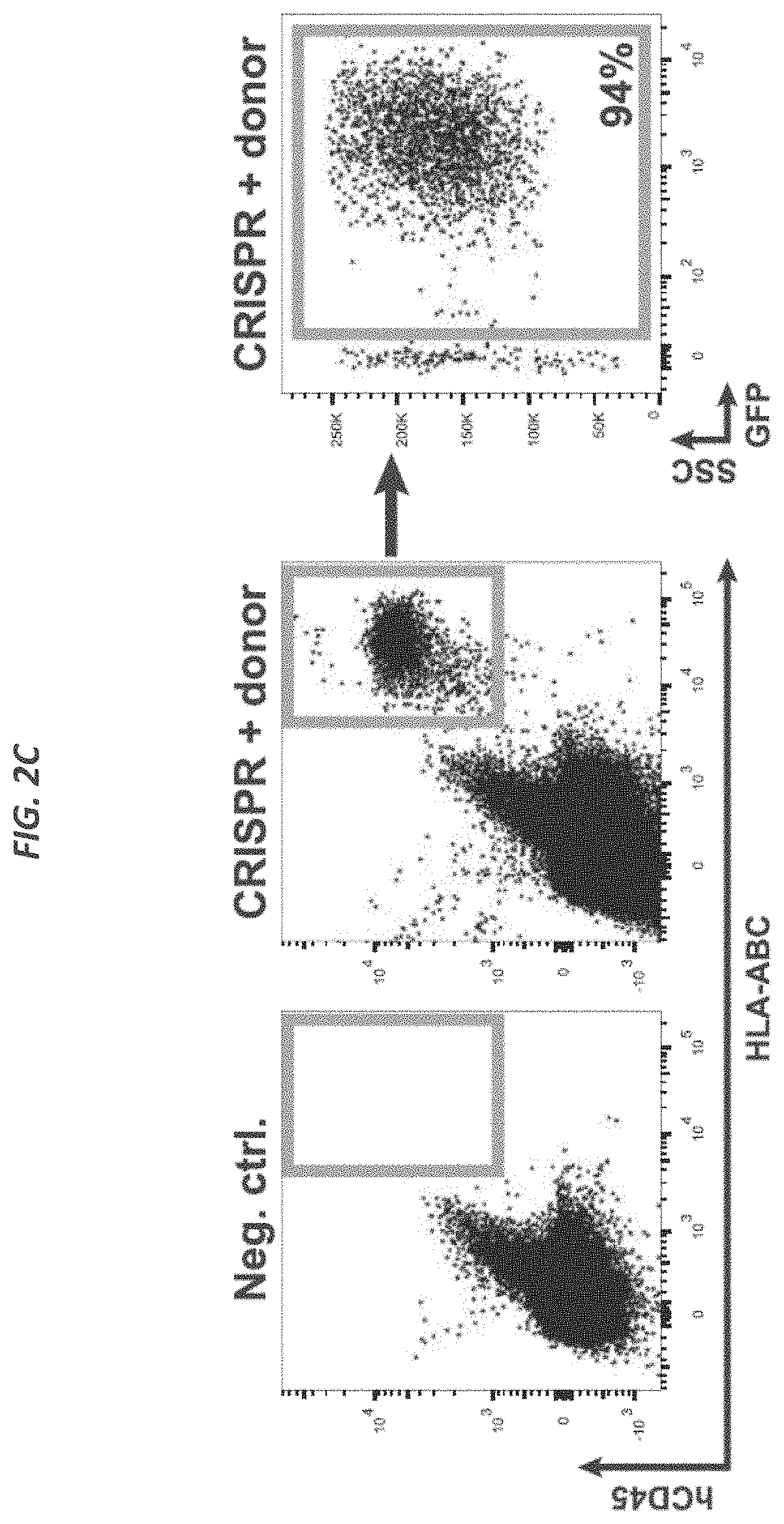 Patent US11773409 Figure 5 – CRISPR/Cas 9-mediated integration of polynucleotides by sequential homologous recombination of AAV donor vectors