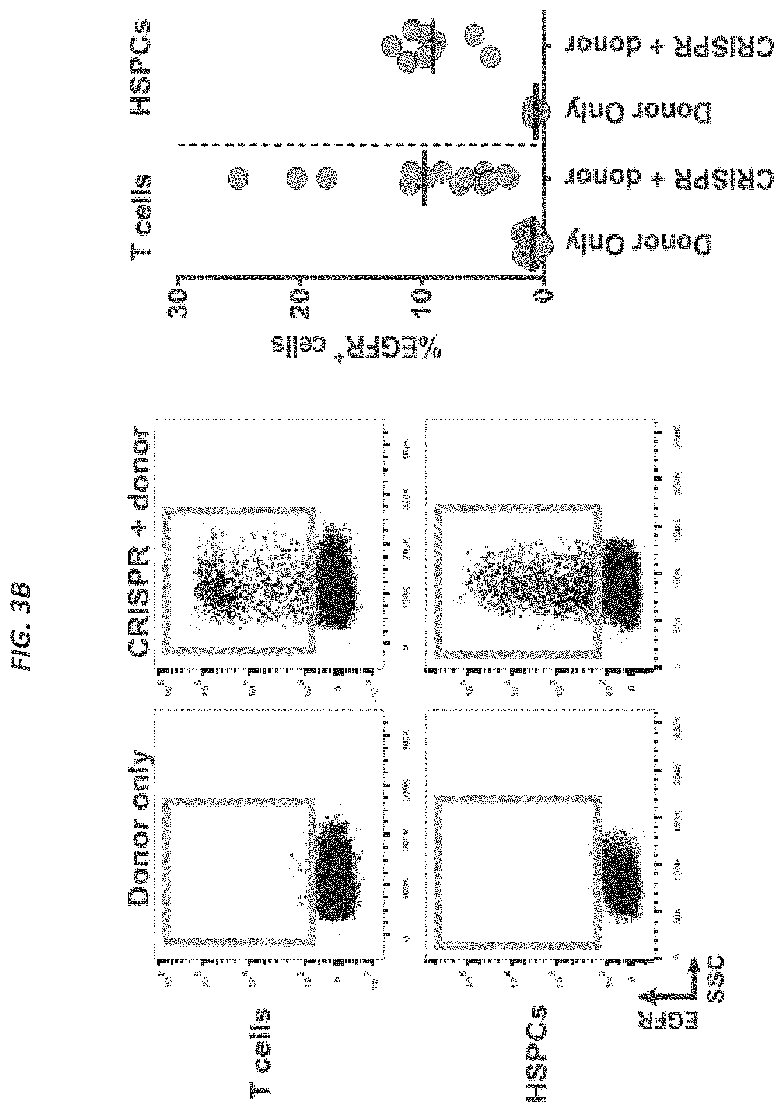 Patent US11773409 Figure 7 – CRISPR/Cas 9-mediated integration of polynucleotides by sequential homologous recombination of AAV donor vectors