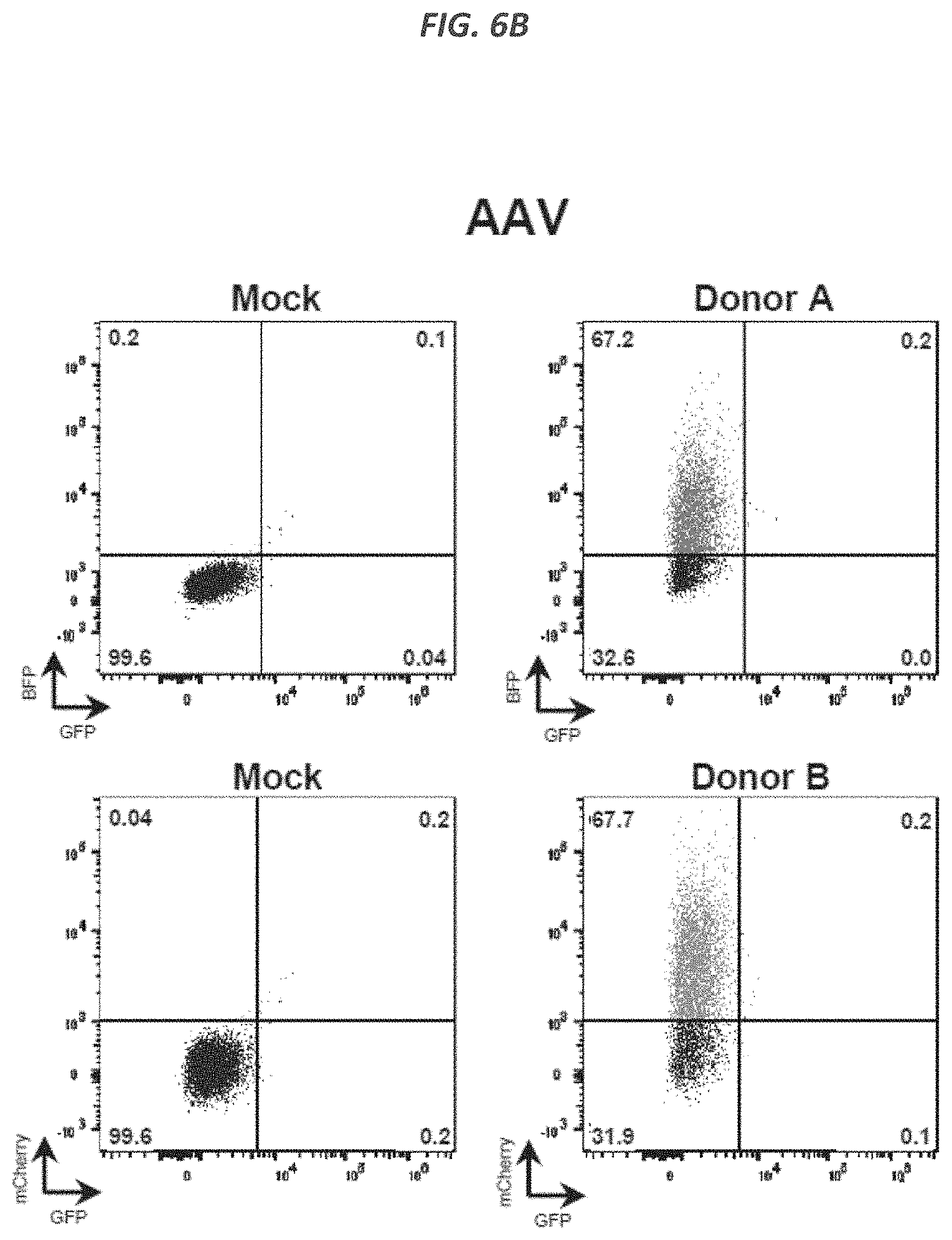 Patent US11773409 Figure 12 – CRISPR/Cas 9-mediated integration of polynucleotides by sequential homologous recombination of AAV donor vectors
