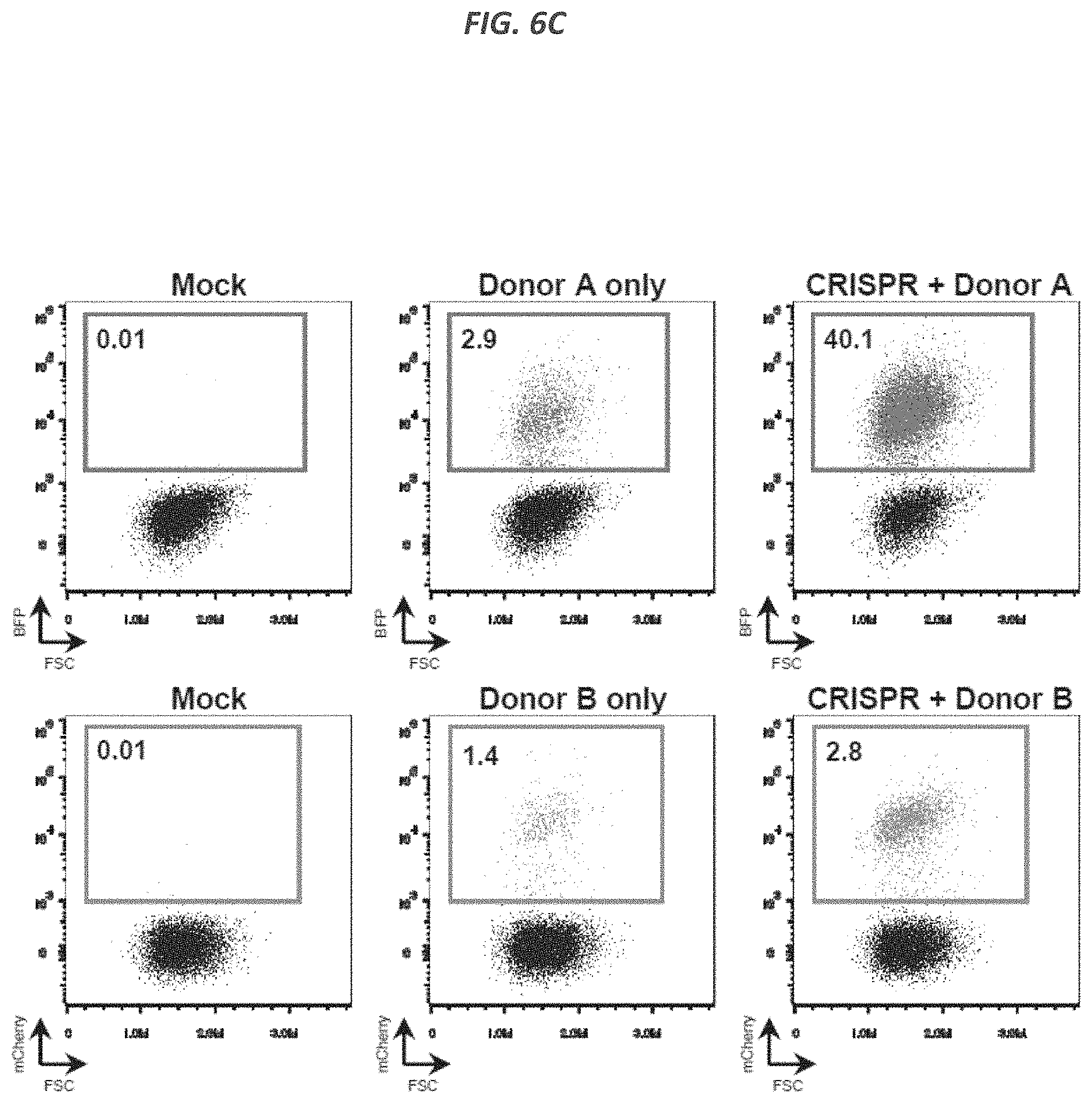 Patent US11773409 Figure 13 – CRISPR/Cas 9-mediated integration of polynucleotides by sequential homologous recombination of AAV donor vectors