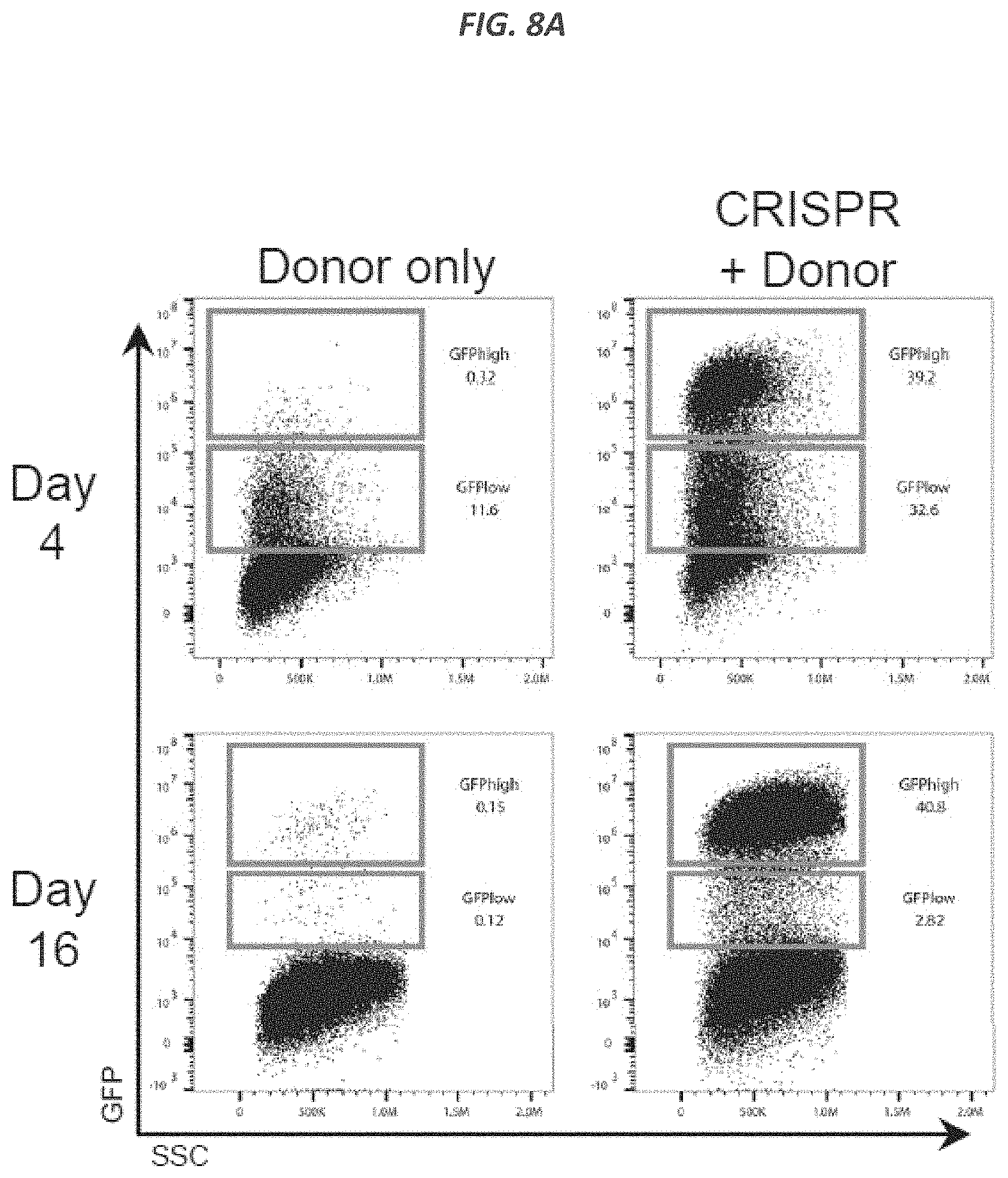 Patent US11773409 Figure 16 – CRISPR/Cas 9-mediated integration of polynucleotides by sequential homologous recombination of AAV donor vectors