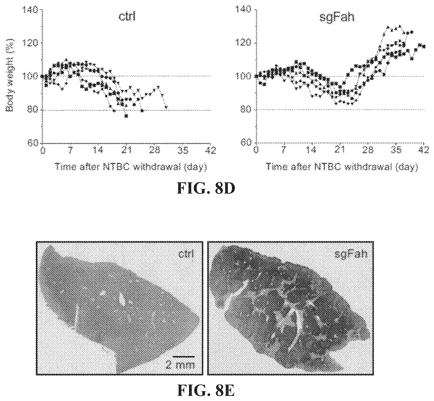 Patent US11773410 Figure 11 – Repairing compound heterozygous recessive mutations by allele exchange