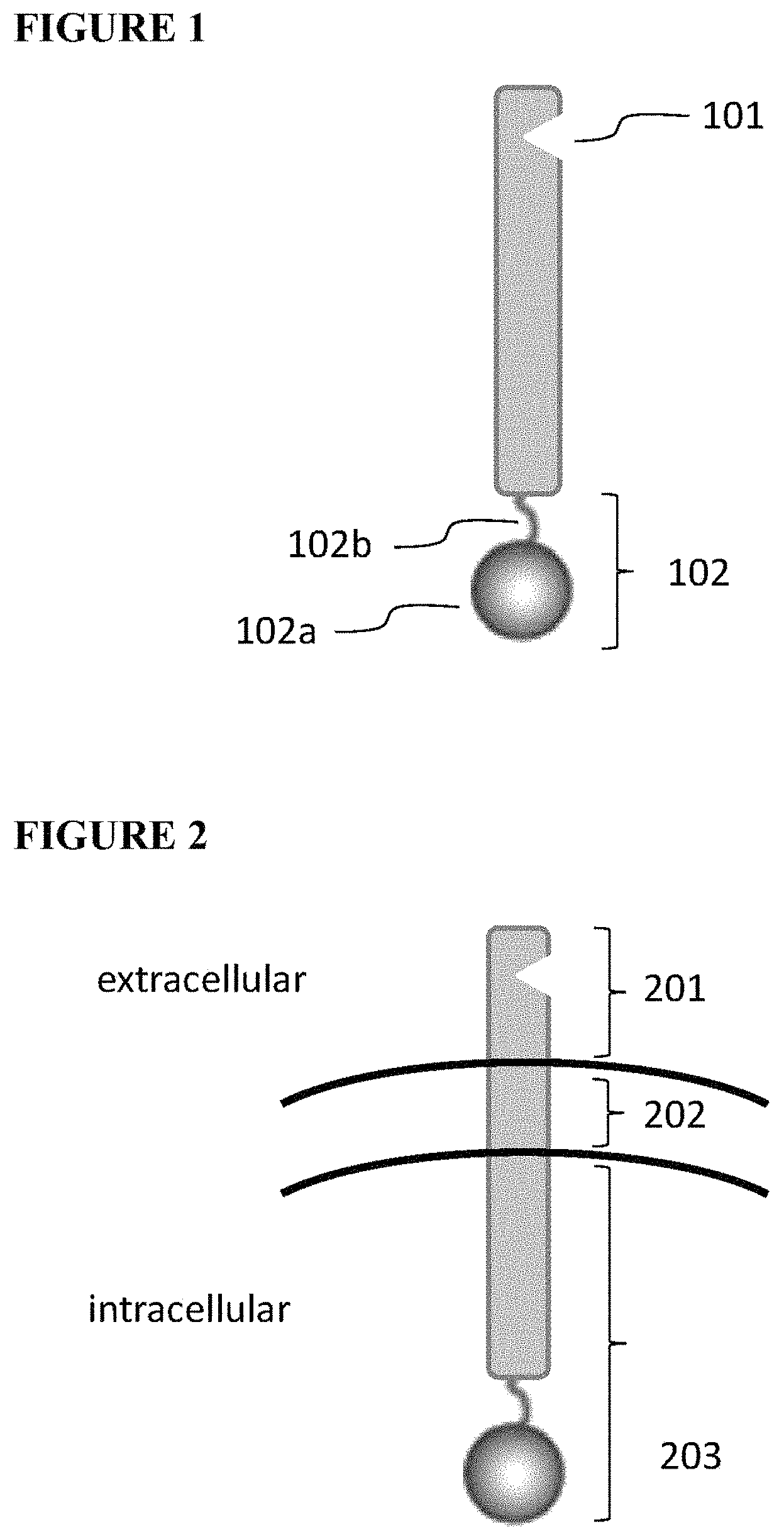 Patent US11773411 Figure 1 – Chimeric proteins and methods of regulating gene expression