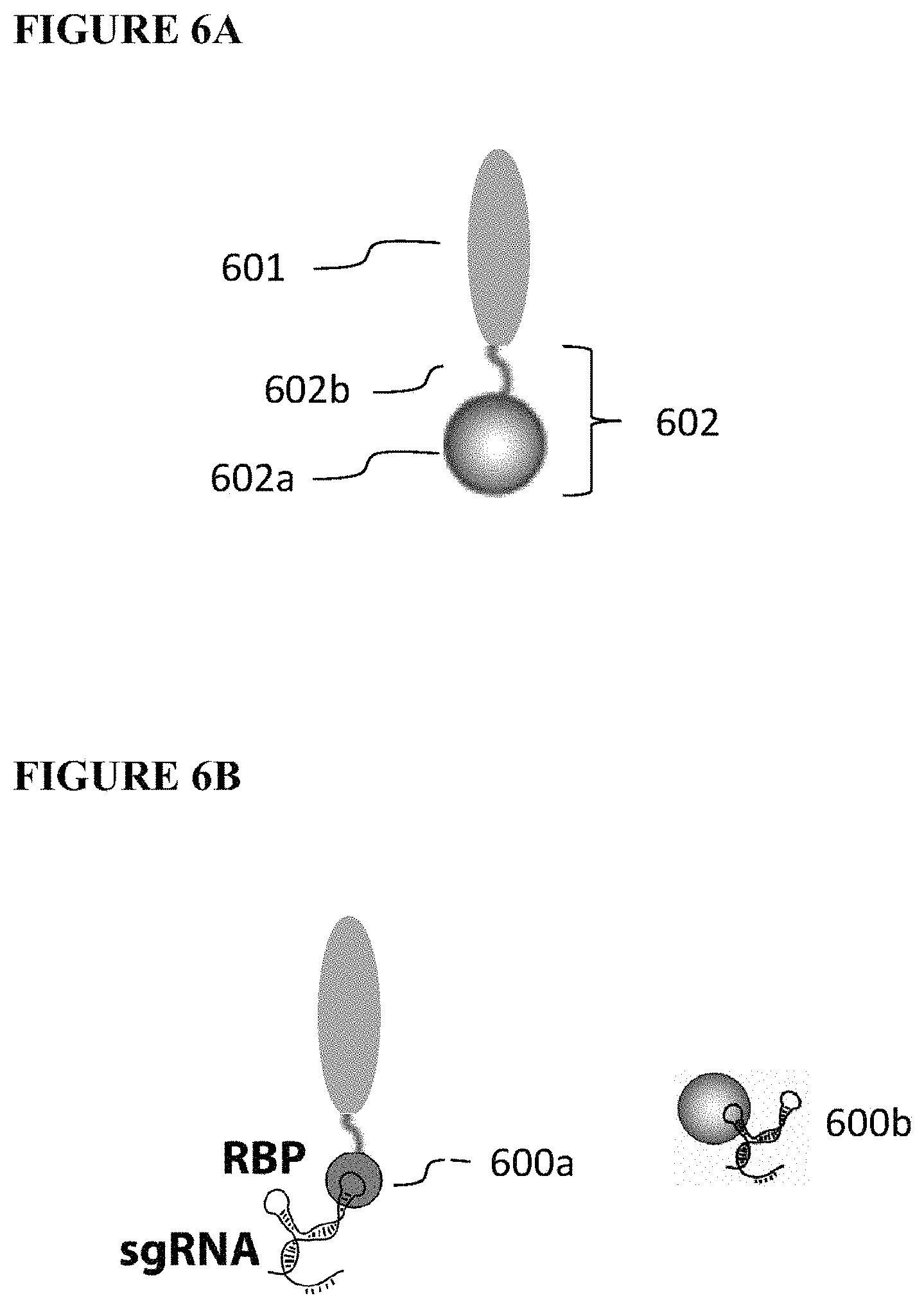 Patent US11773411 Figure 5 – Chimeric proteins and methods of regulating gene expression