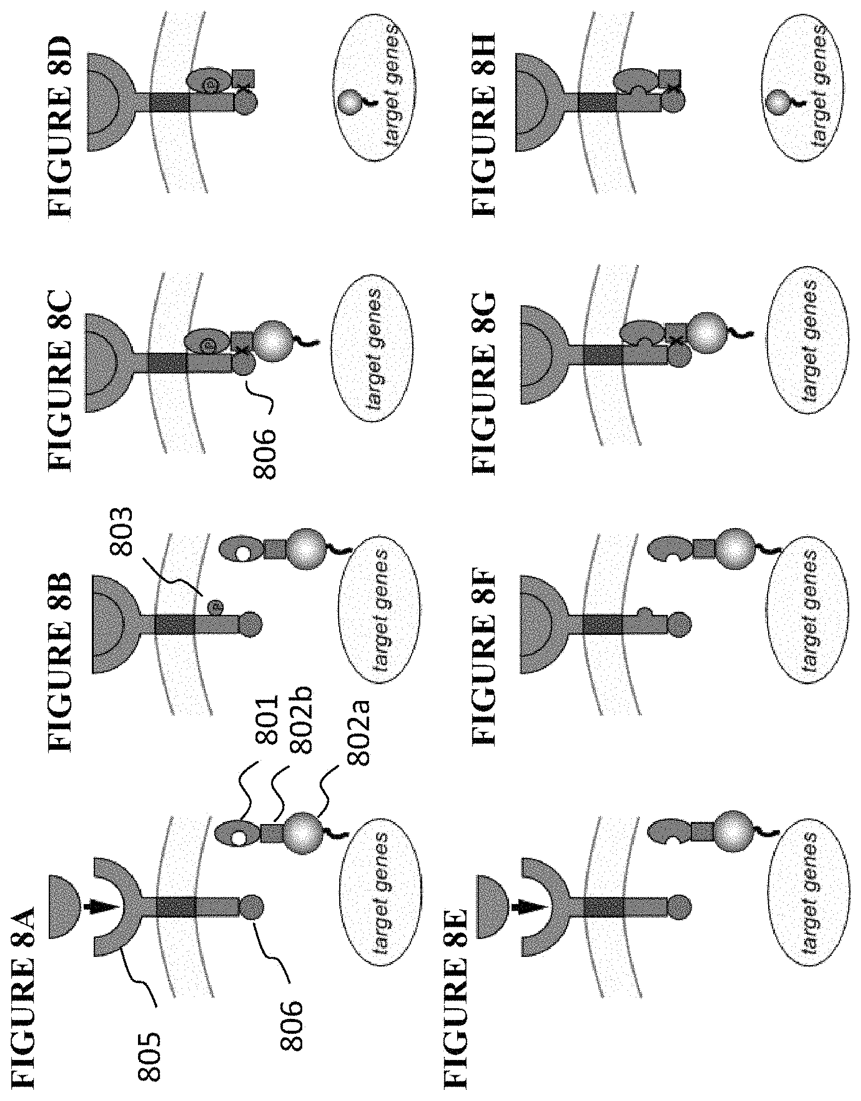 Patent US11773411 Figure 7 – Chimeric proteins and methods of regulating gene expression