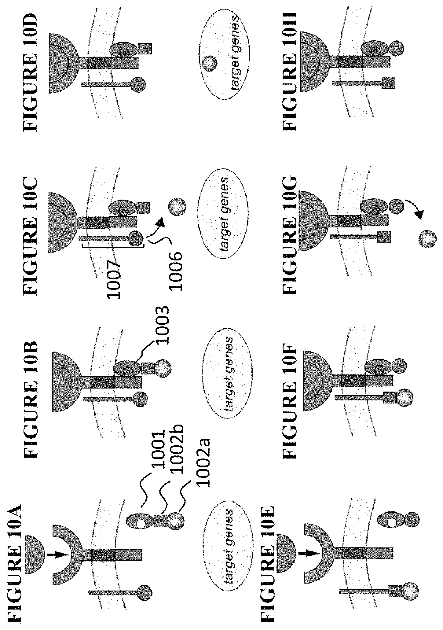 Patent US11773411 Figure 9 – Chimeric proteins and methods of regulating gene expression