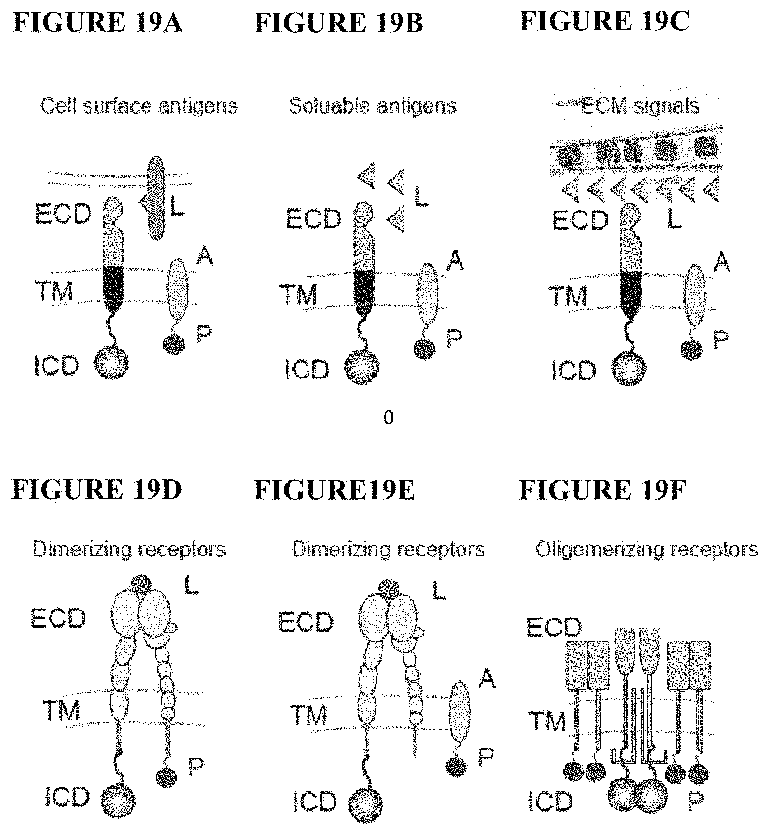 Patent US11773411 Figure 18 – Chimeric proteins and methods of regulating gene expression