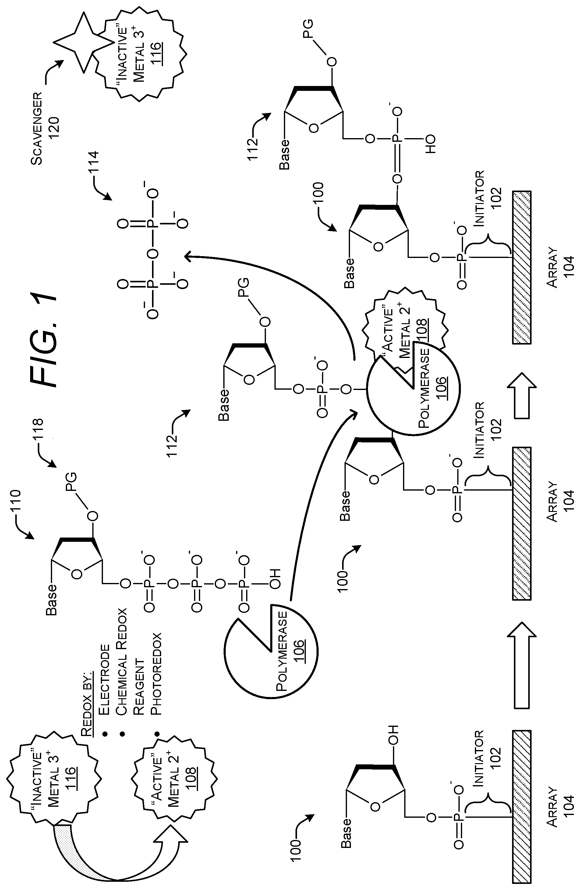 Patent US11773422 Figure 1 – Regulation of polymerase using cofactor oxidation states