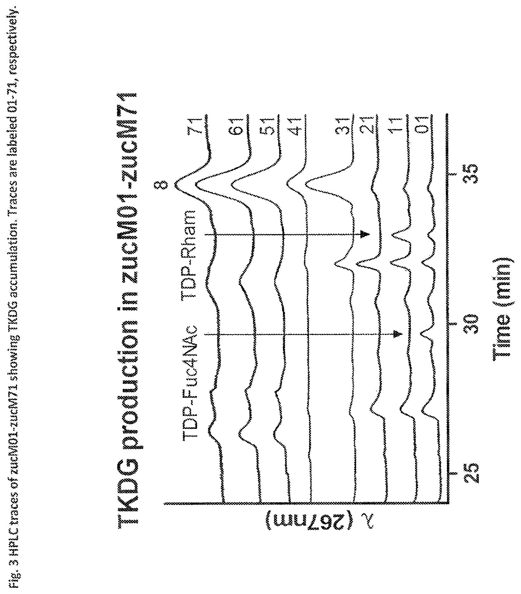 Patent US11773423 Figure 3 – Production of activated TDP-deoxysugars in recombinant microorganisms