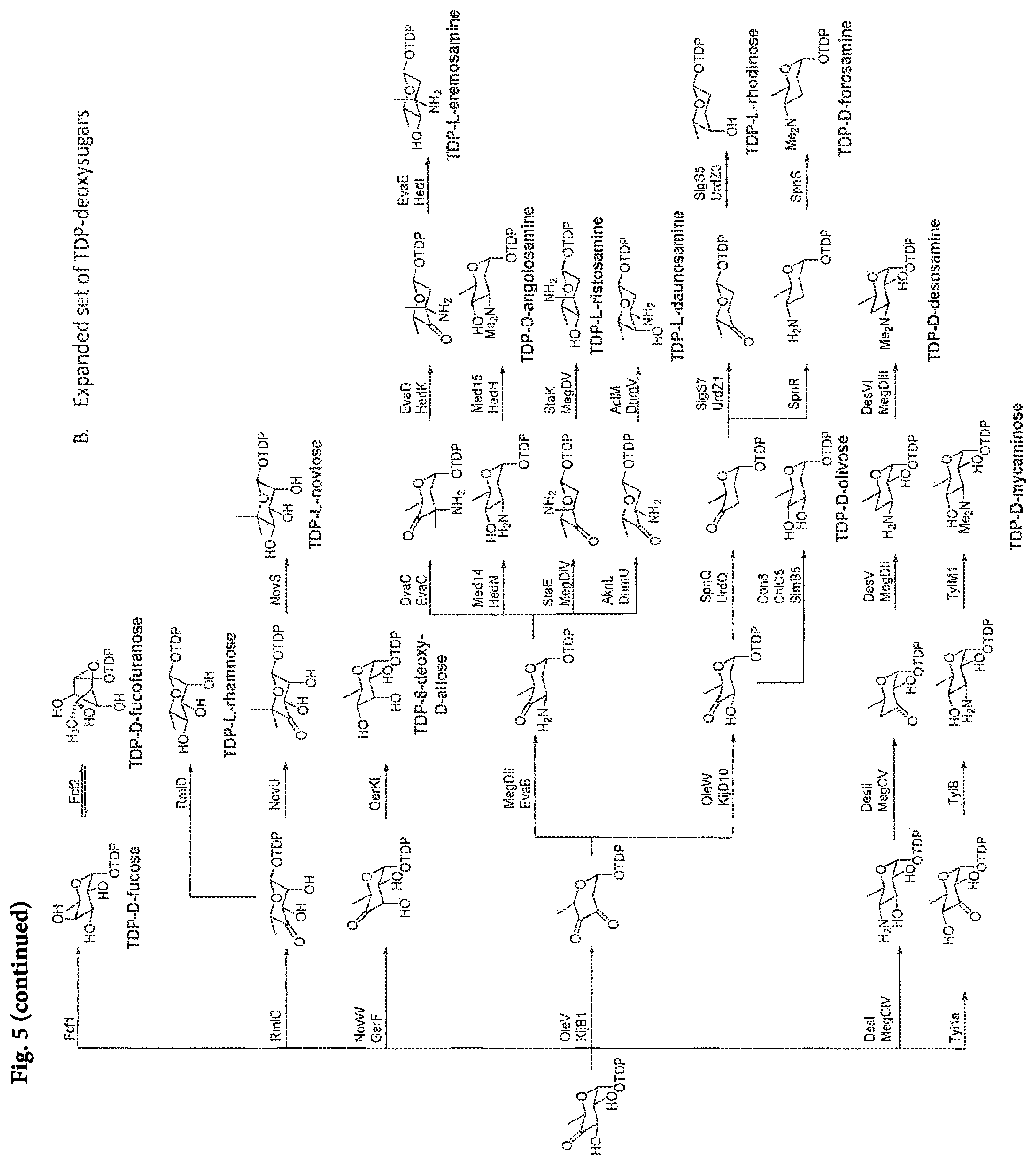 Patent US11773423 Figure 8 – Production of activated TDP-deoxysugars in recombinant microorganisms