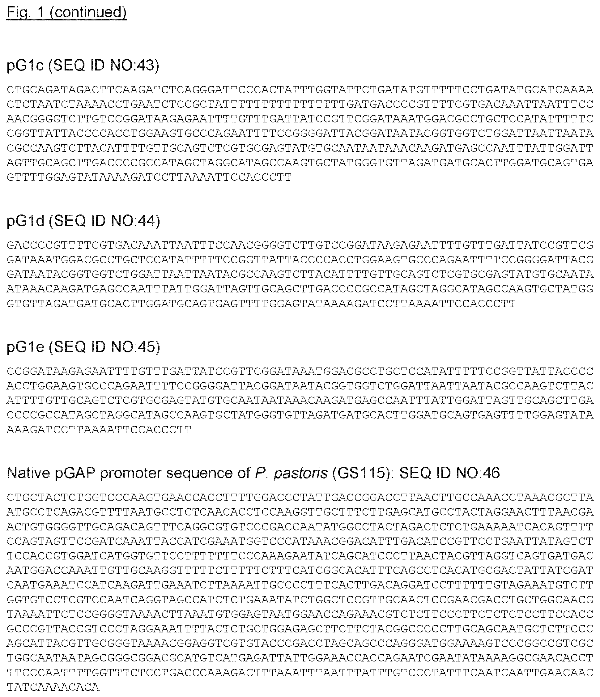 Patent US11773424 Figure 10 – Carbon-source regulated protein production in a recombinant host cell