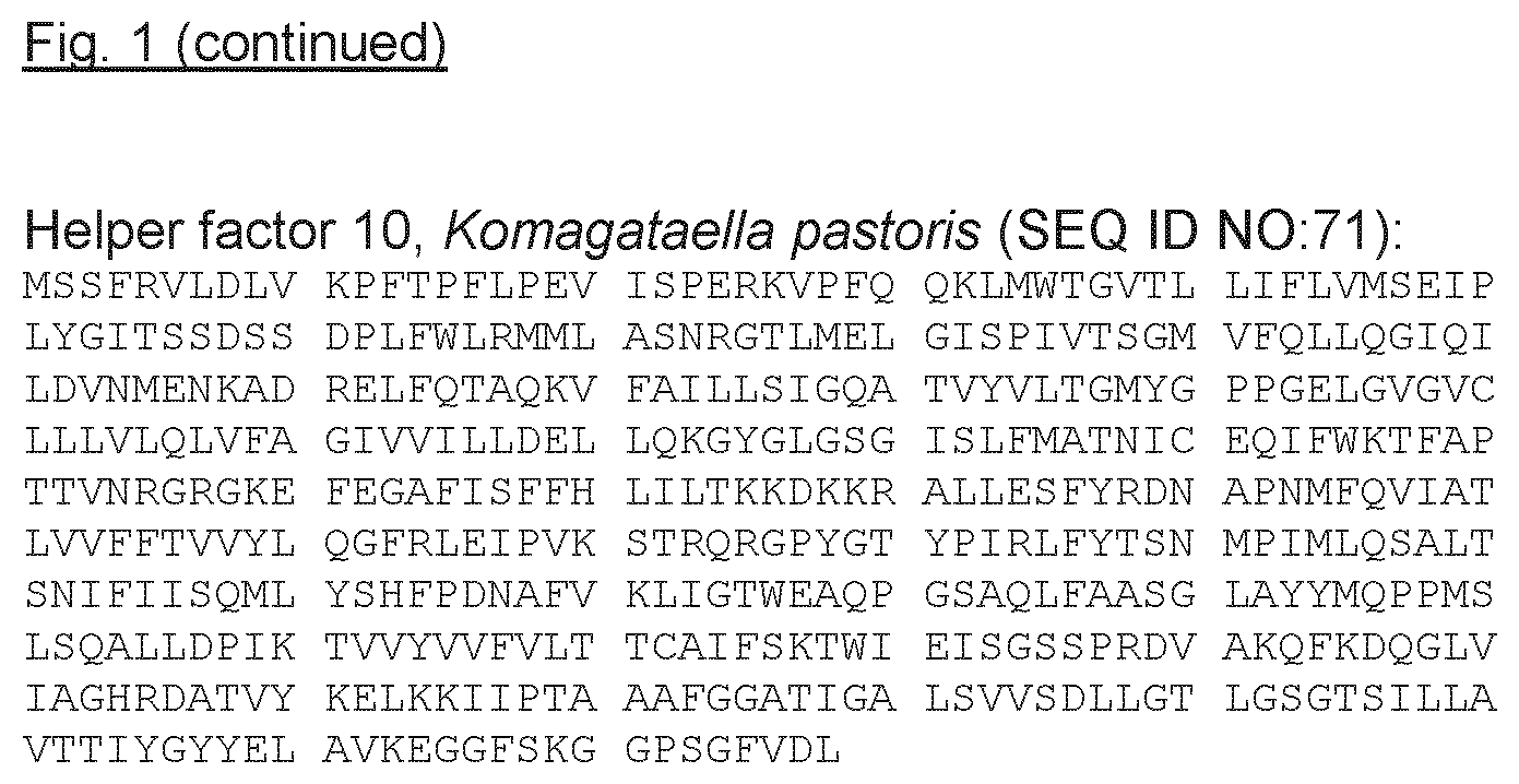 Patent US11773424 Figure 15 – Carbon-source regulated protein production in a recombinant host cell