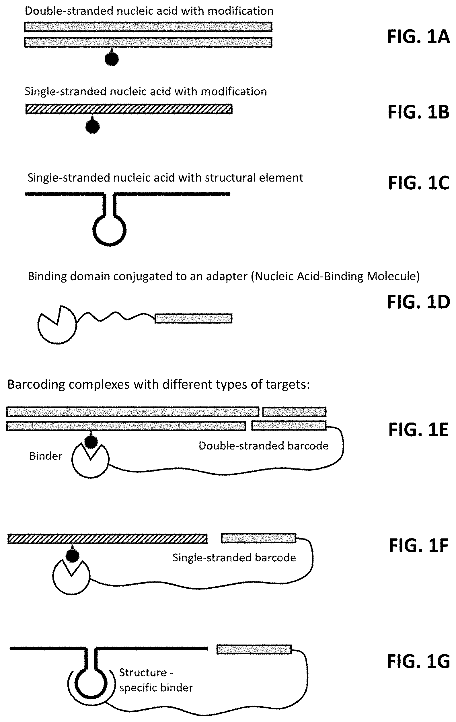 Patent US11773425 Figure 1 – Multiplexed profiling of RNA and DNA modifications